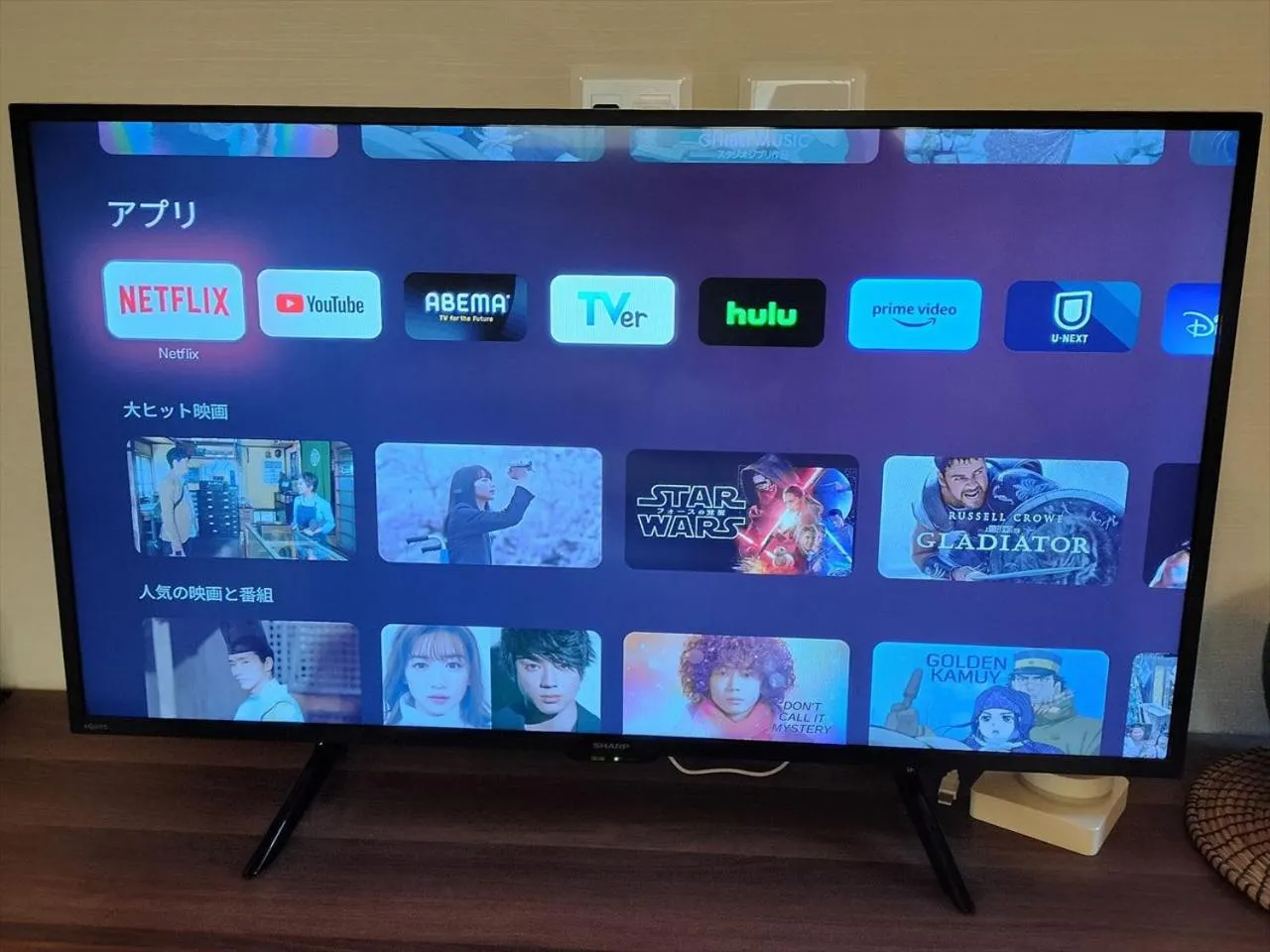 TV and multimedia in YADOYA Karasumain