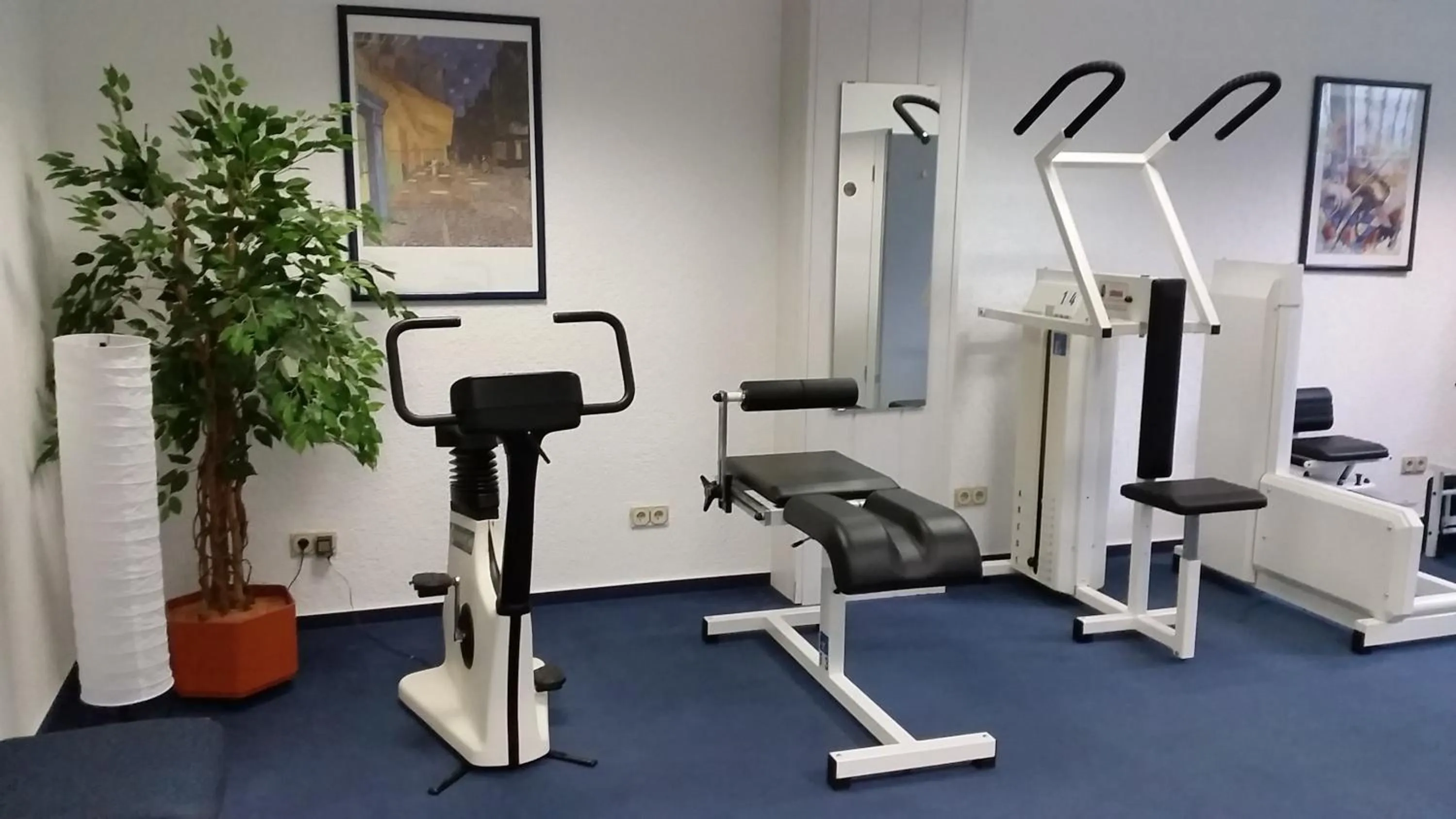 Fitness centre/facilities in Eppelborner Hof