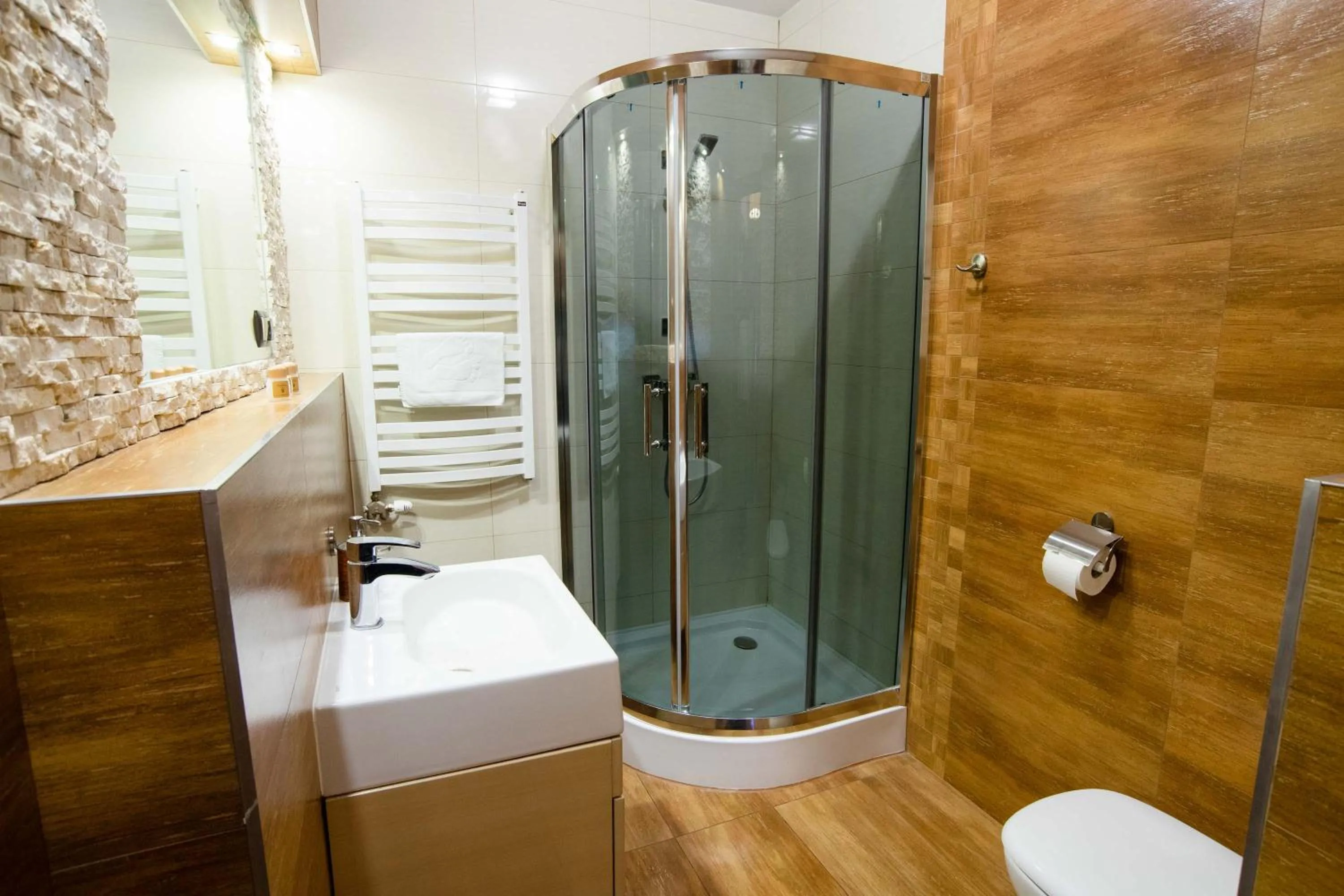 Standard Double or Twin Room in Witowianka