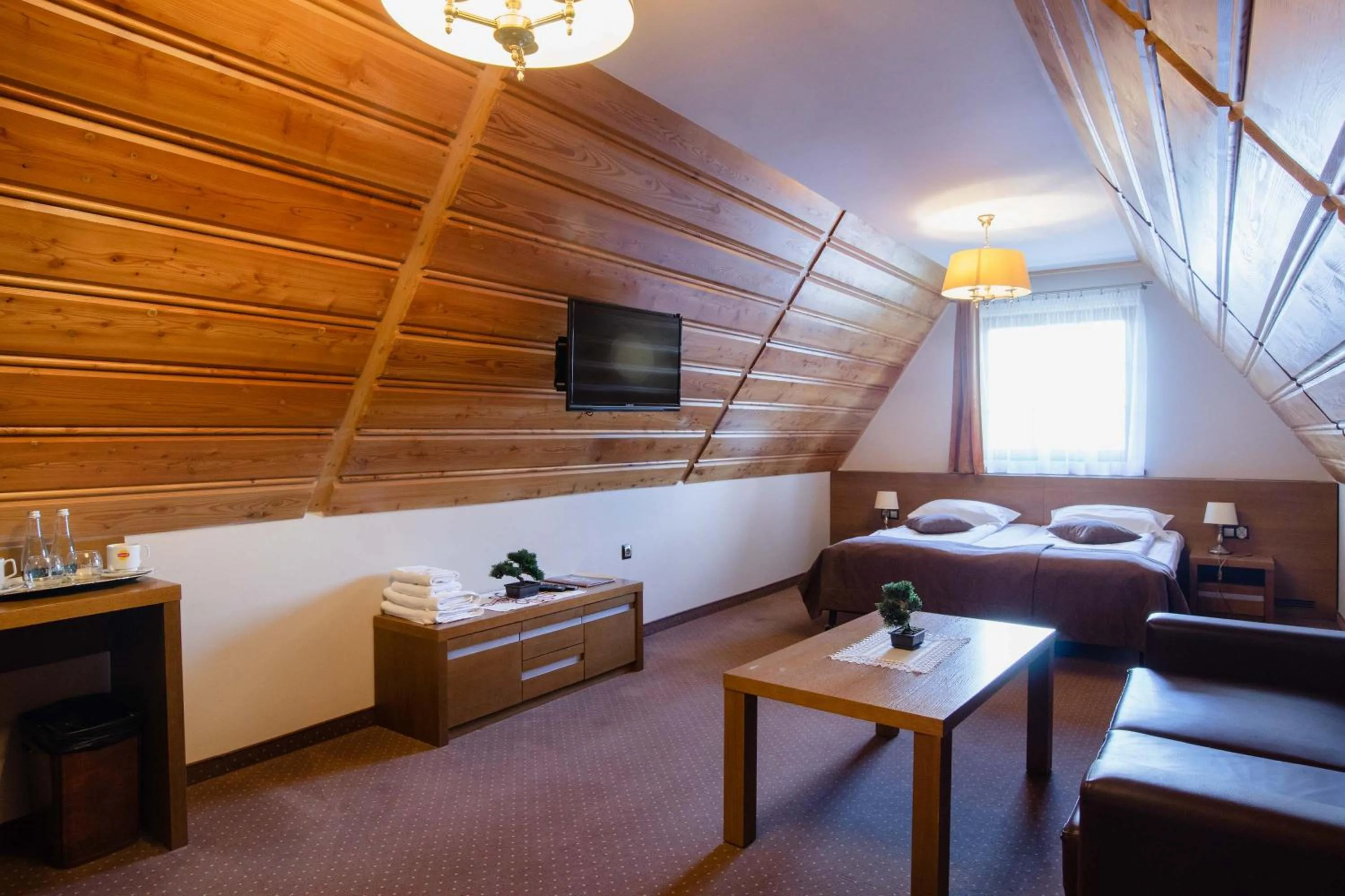 Standard Double or Twin Room in Witowianka