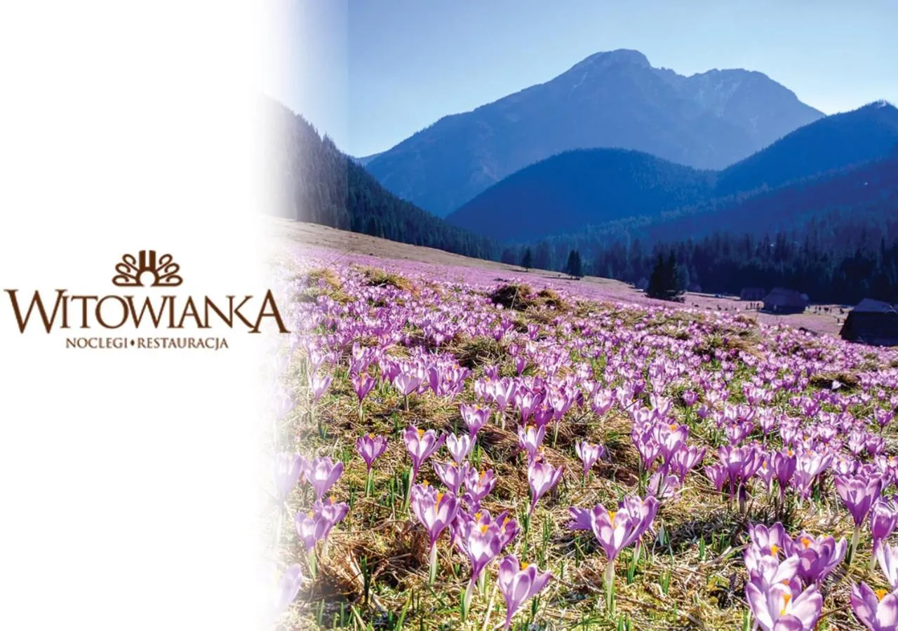 Activities in Witowianka