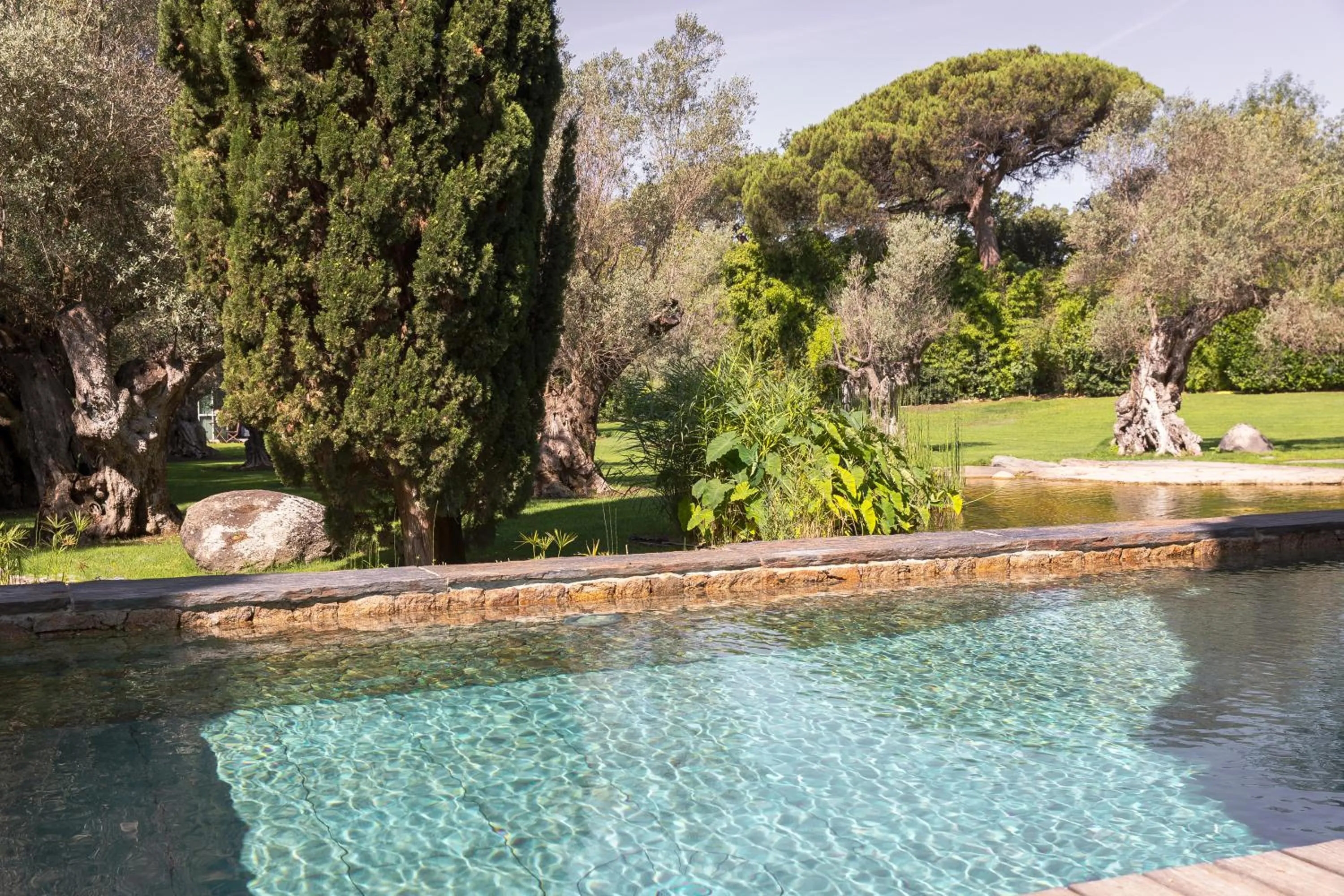 Garden in Domaine Les Mésanges