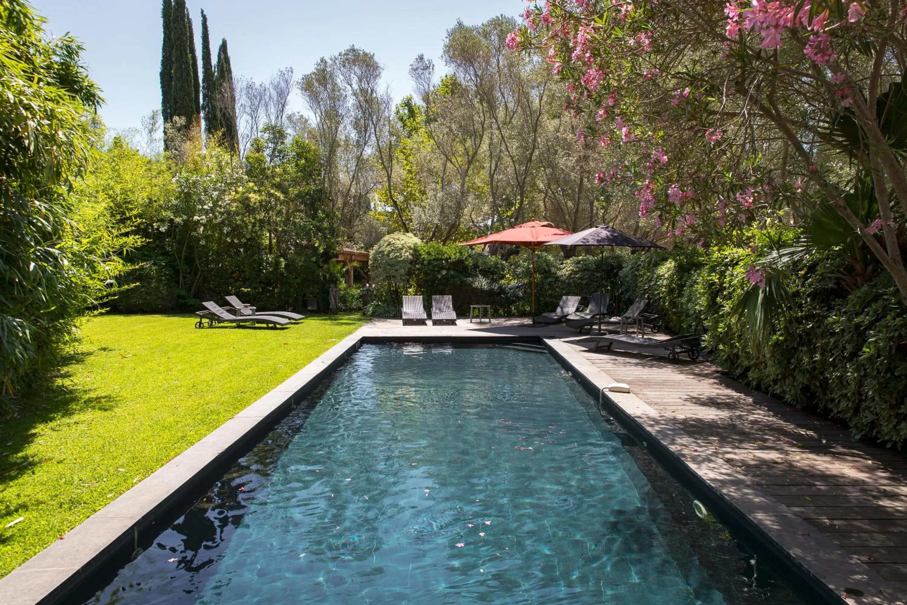 Swimming pool in Domaine Les Mésanges