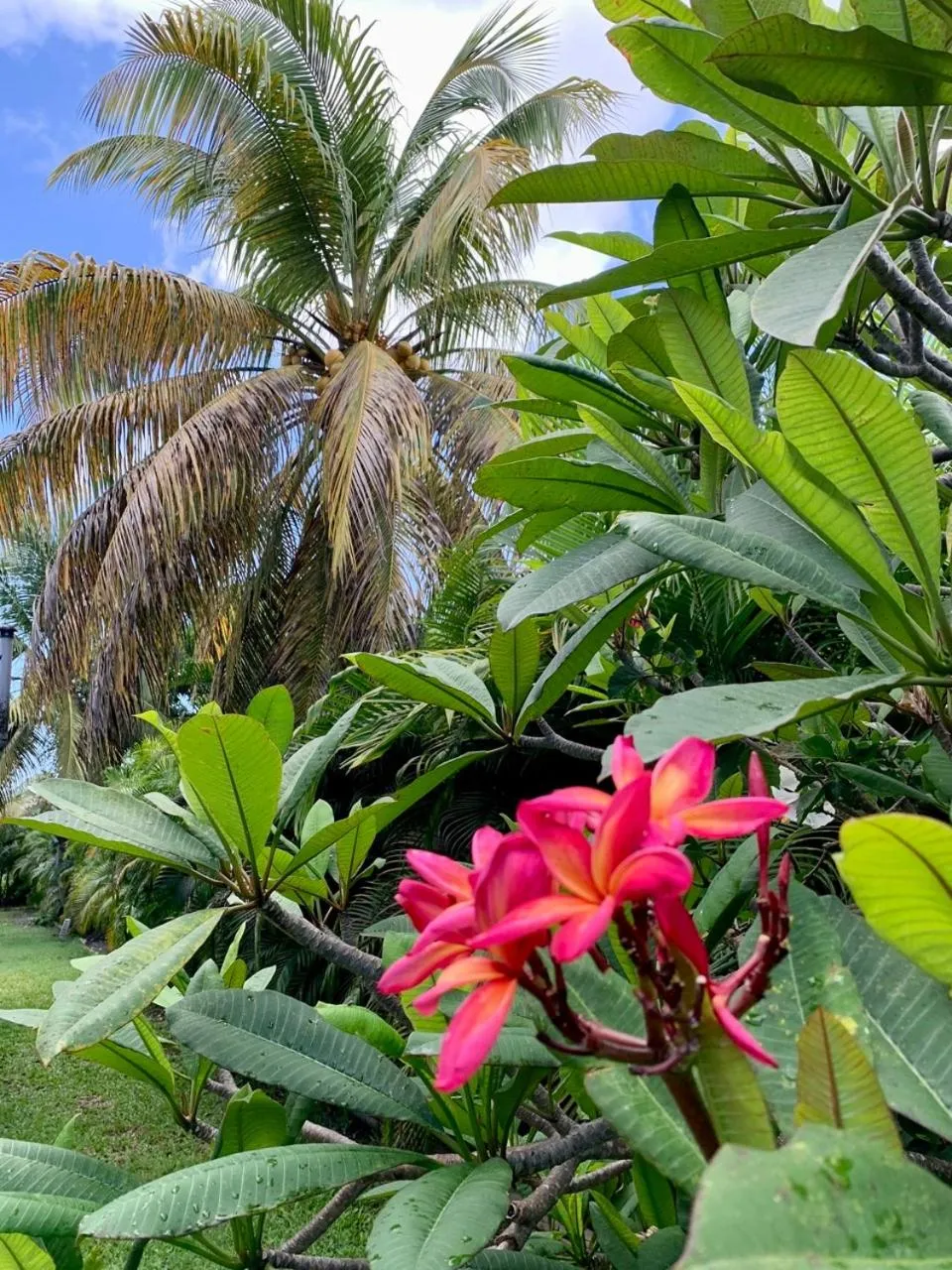 Garden in Domaine Saint-François
