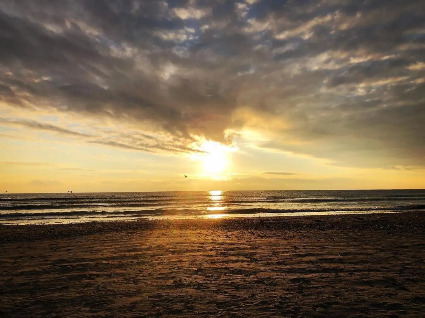 Beach in Hotel Azaleea Mamaia Nord