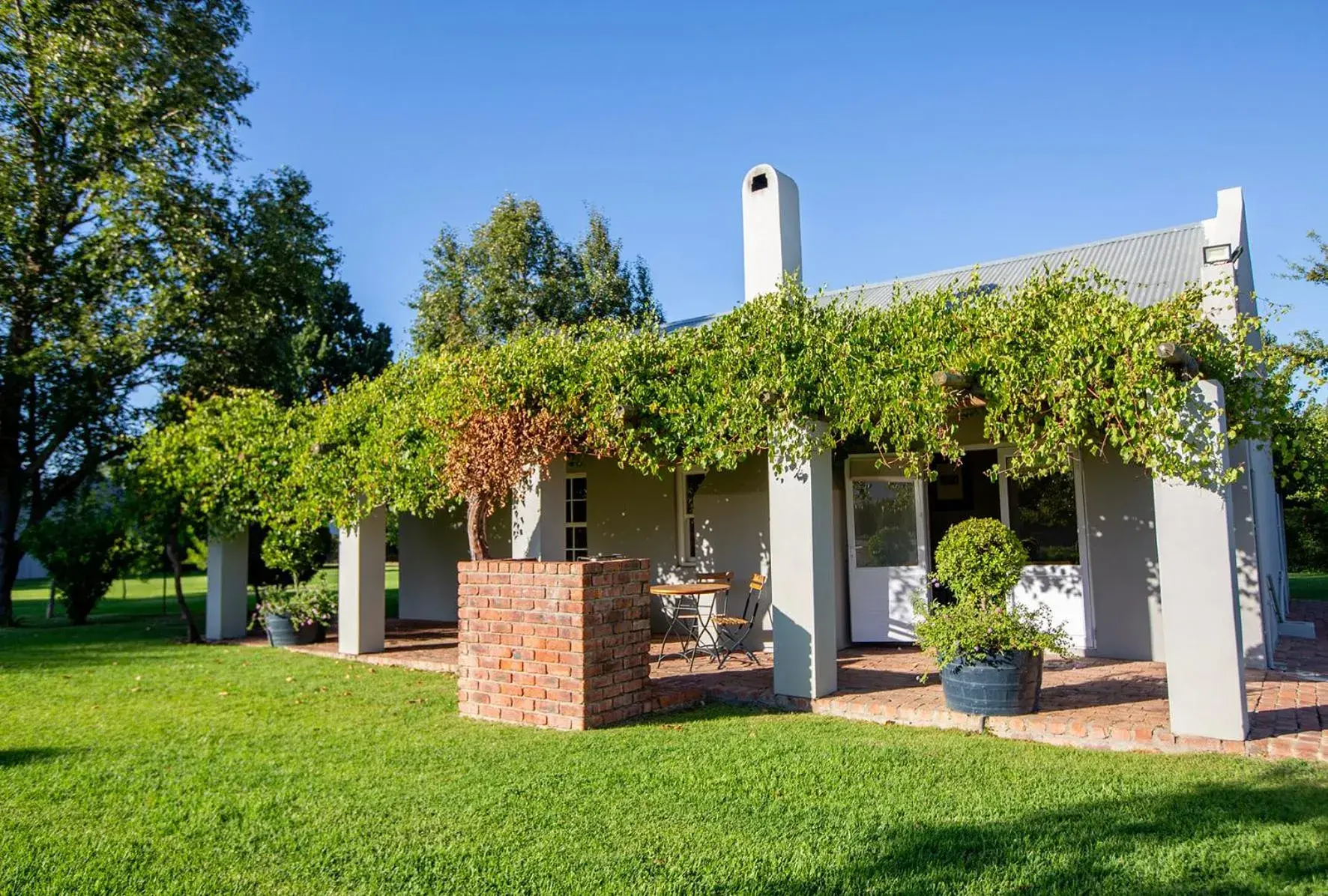 Standard Double Room in Saronsberg Vineyard Cottages Standard Double Room in Saronsberg Vineyard Cottages