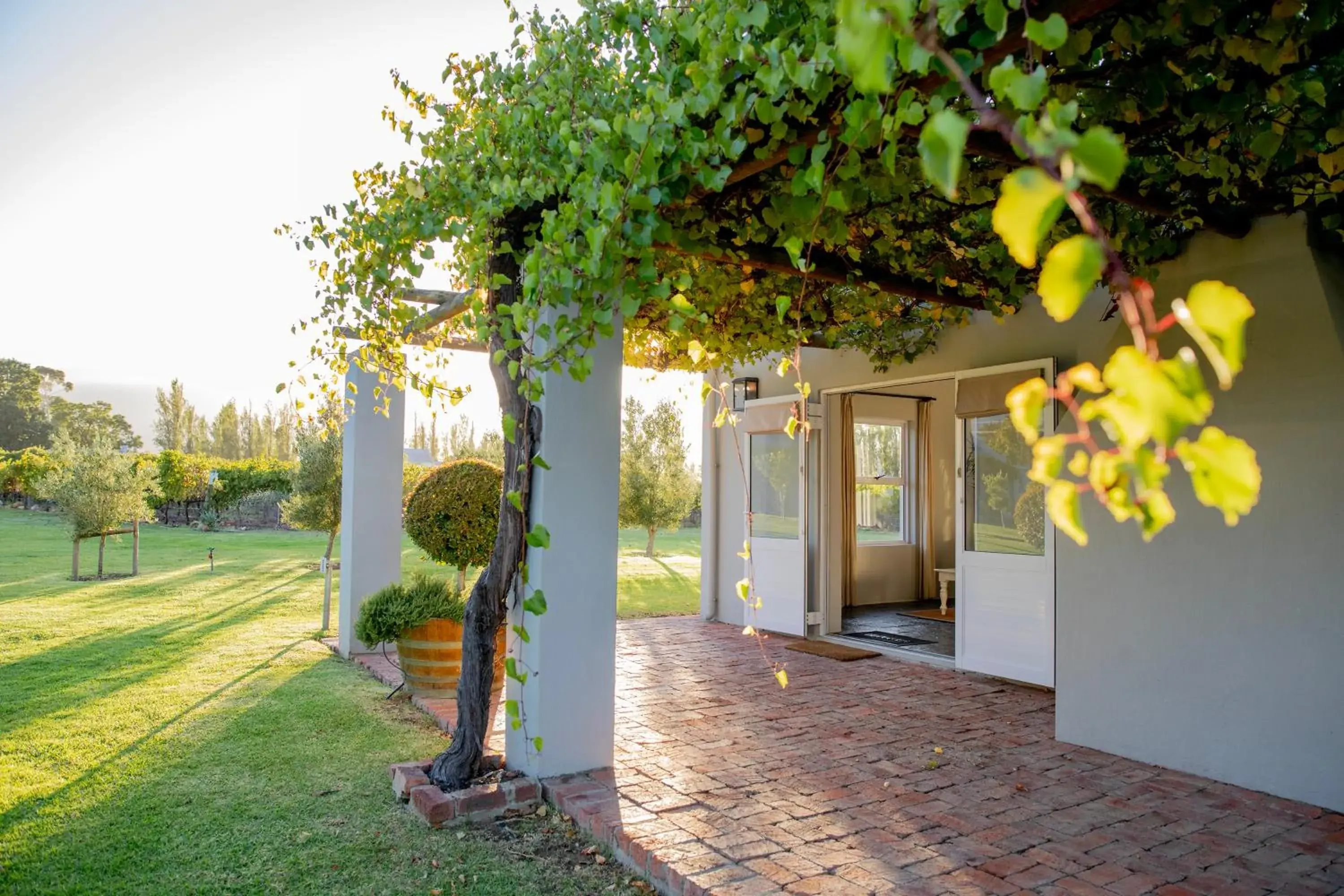 Saronsberg Vineyard Cottages Saronsberg Vineyard Cottages