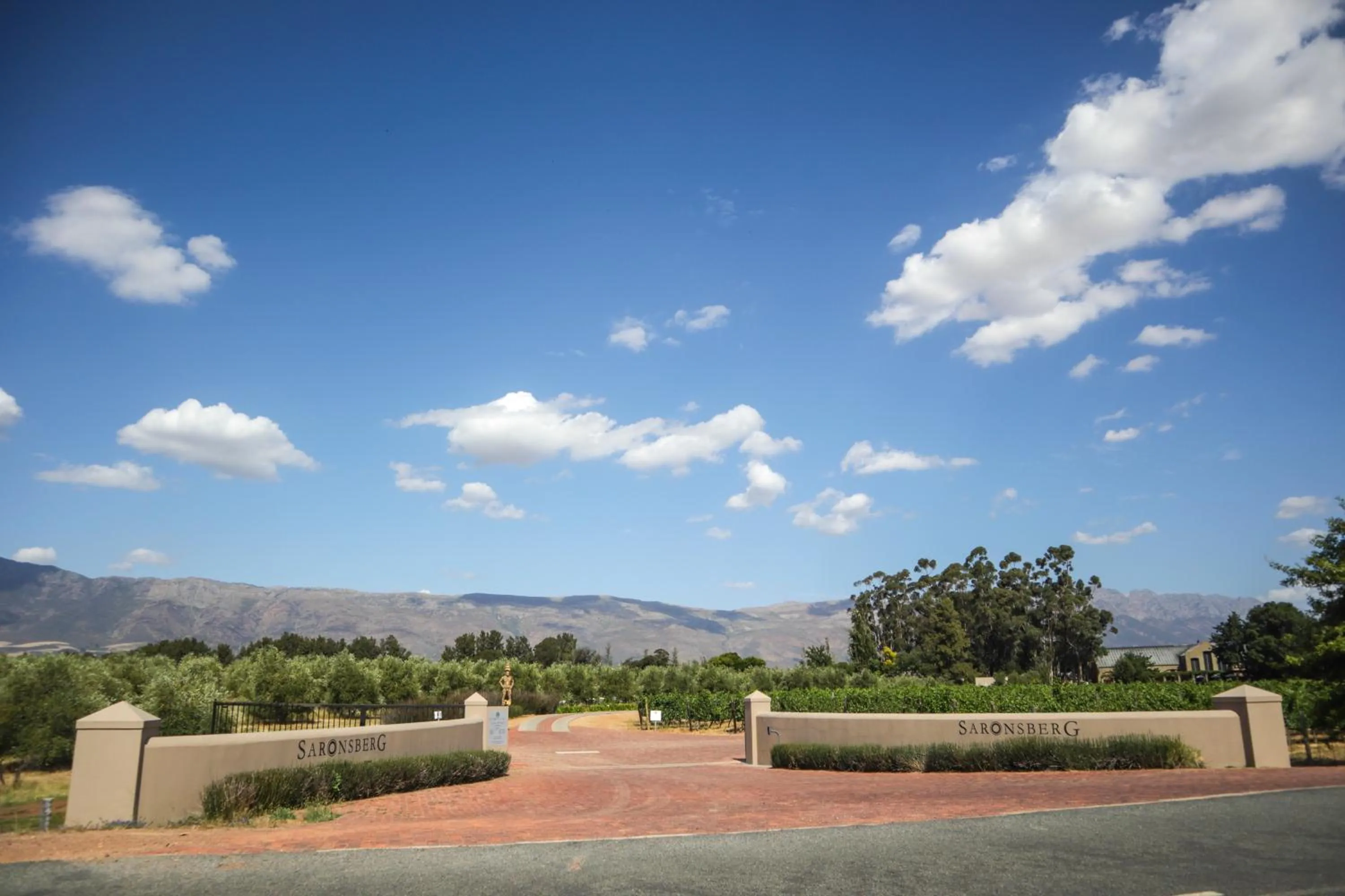 Natural landscape in Saronsberg Vineyard Cottages