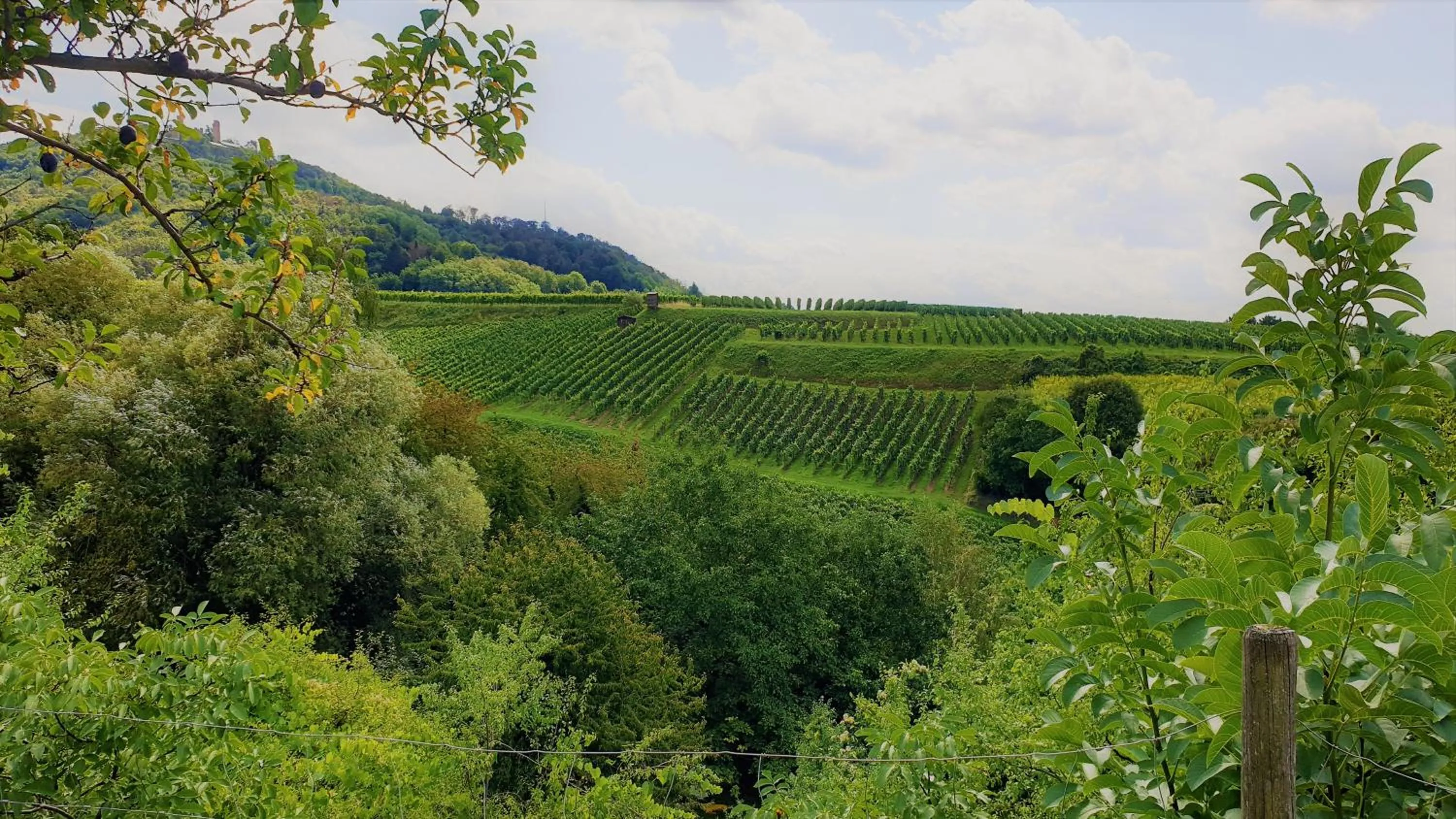 Natural landscape in Halber Mond