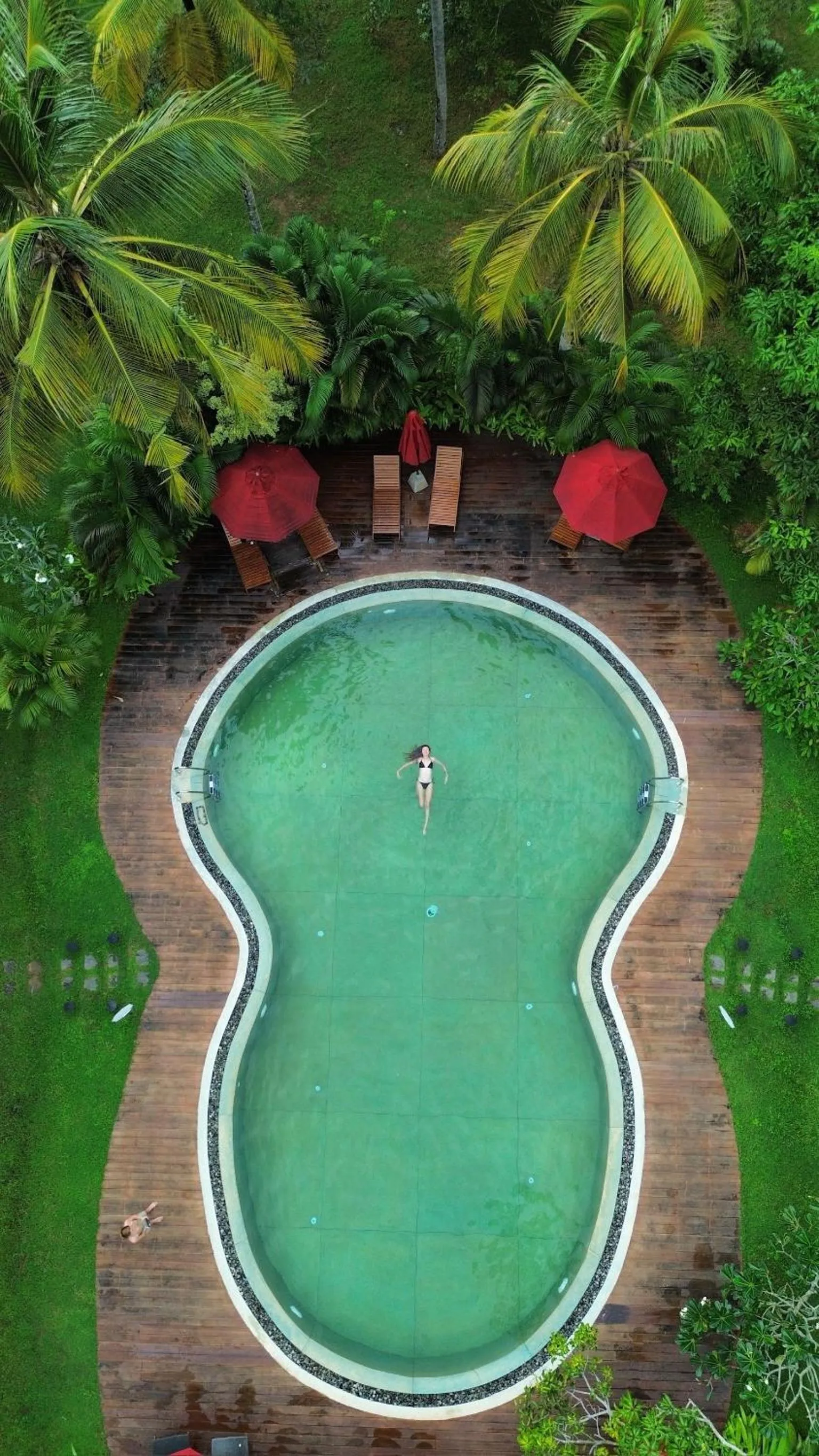 Garden view in Palm Garden Ayurveda Resort