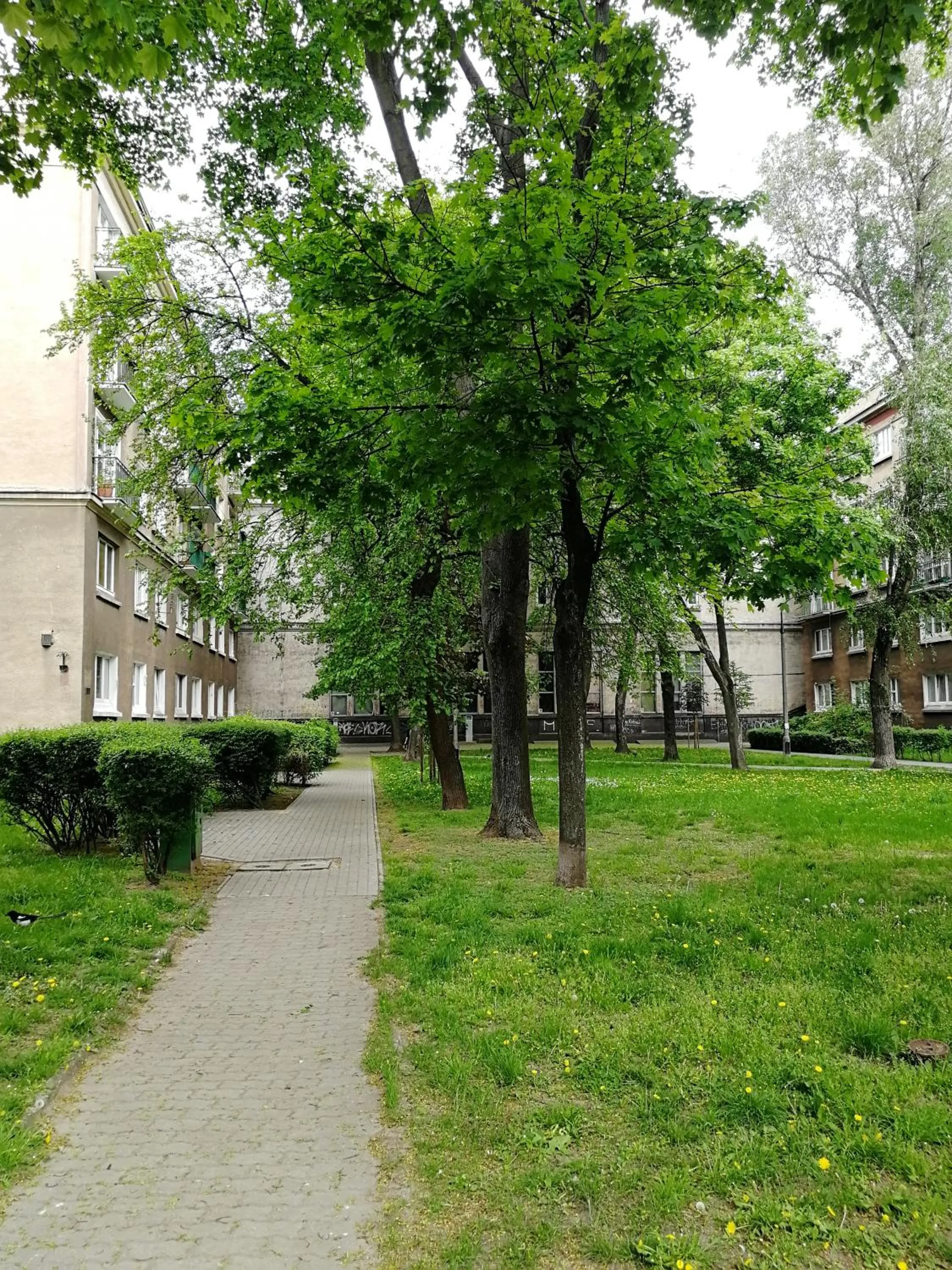 Property building in Stylish Cozy flat in Warsaw center