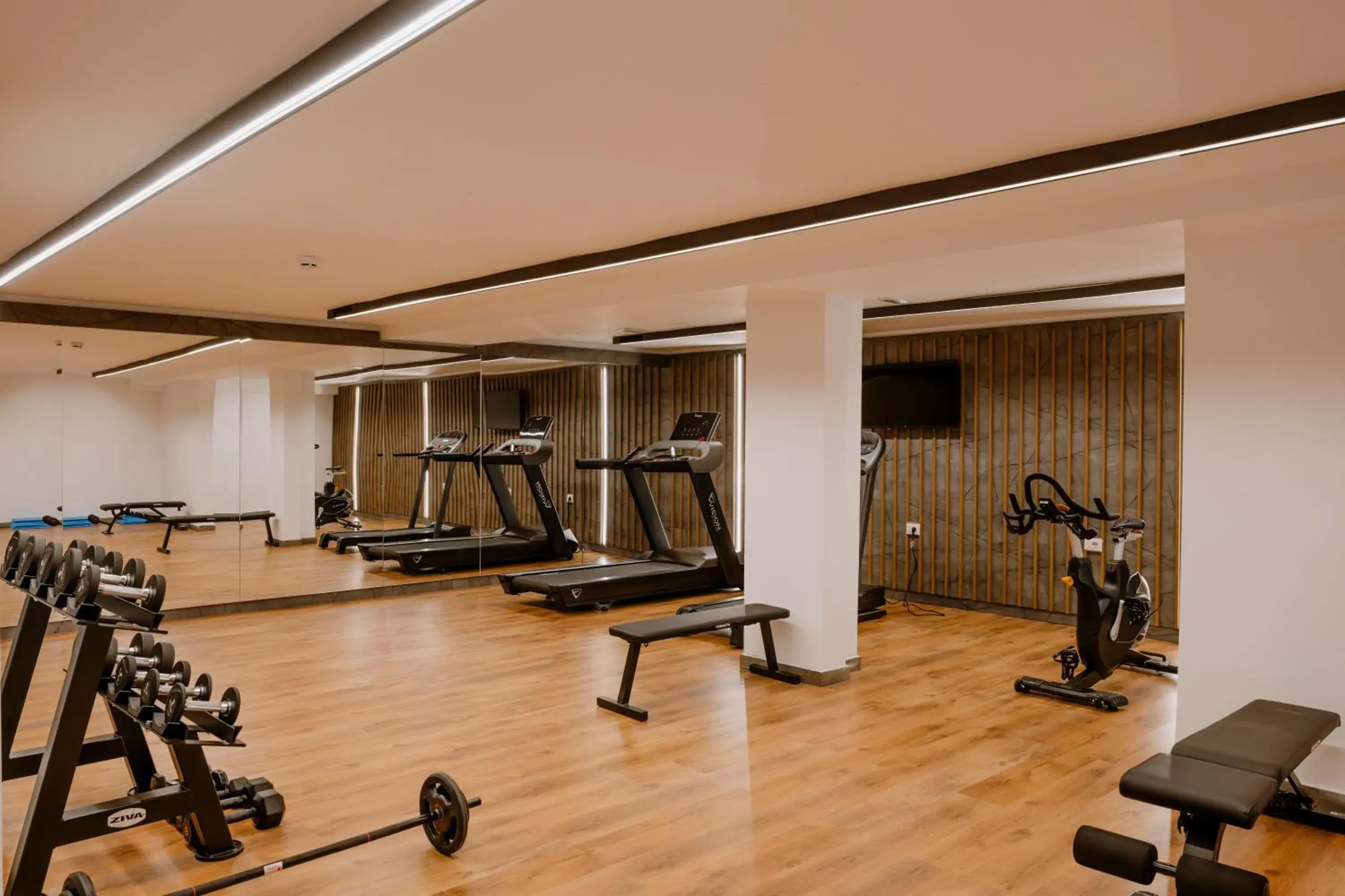Fitness centre/facilities in Armon Greenblu Hotel & Wellness Fitness centre/facilities in Armon Greenblu Hotel & Wellness