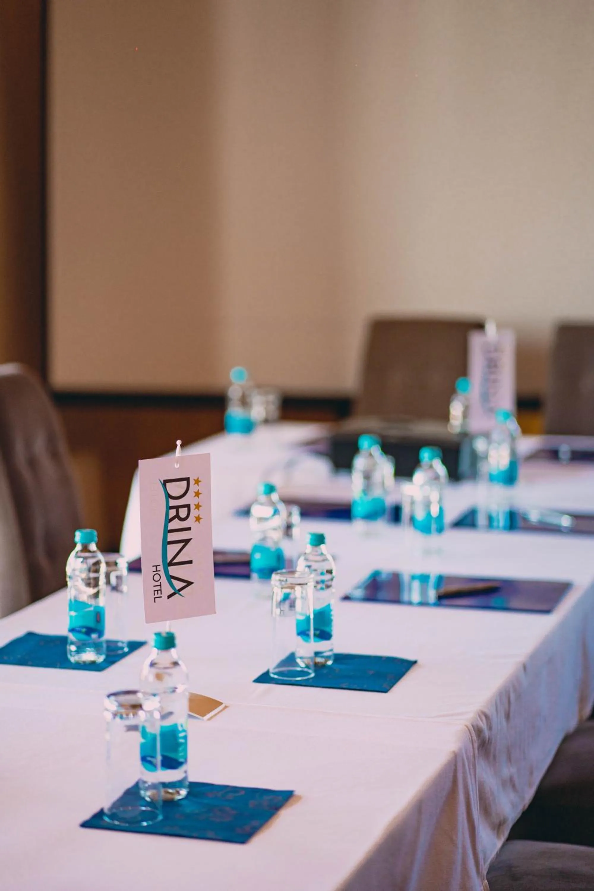 Meeting/conference room in Drina Hotel