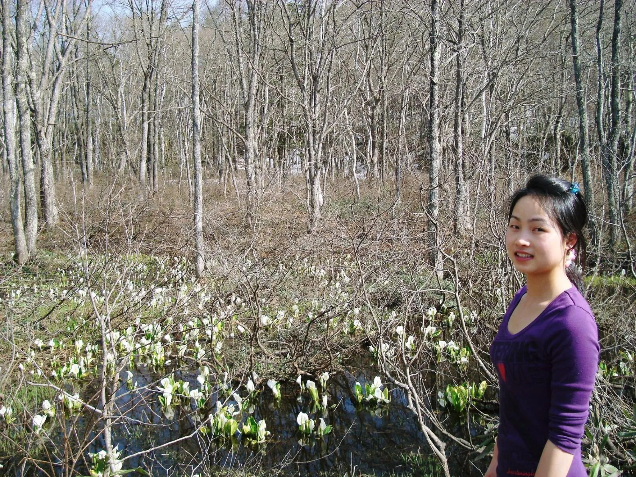 Spring in Togakushi- Kogen Minshuku Rindo