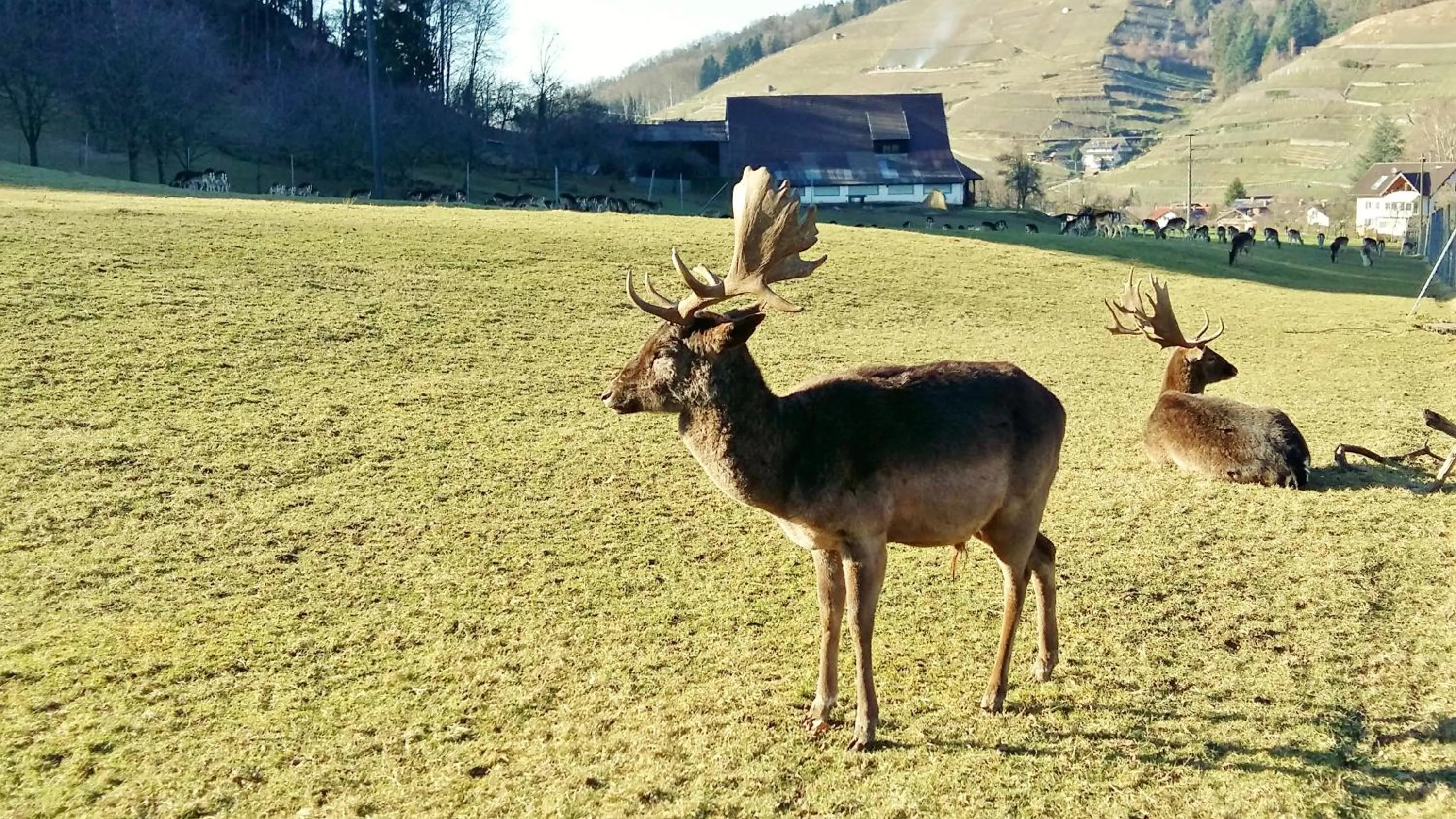 Natural landscape in Hotel Schwarzenbergs Traube
