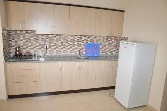 Kitchen or kitchenette in Oz Ulutas Apart Pansiyon