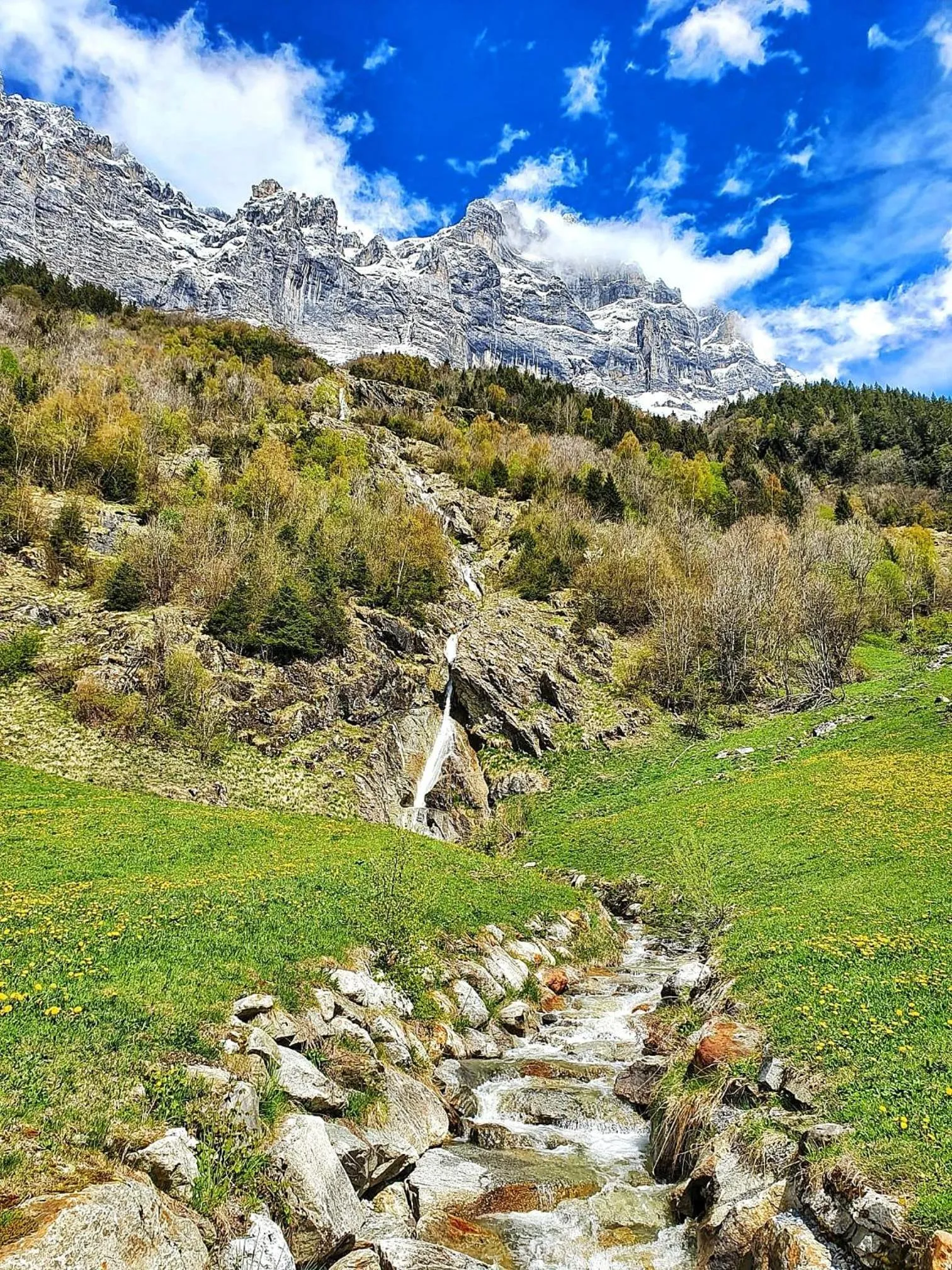 Triftblick