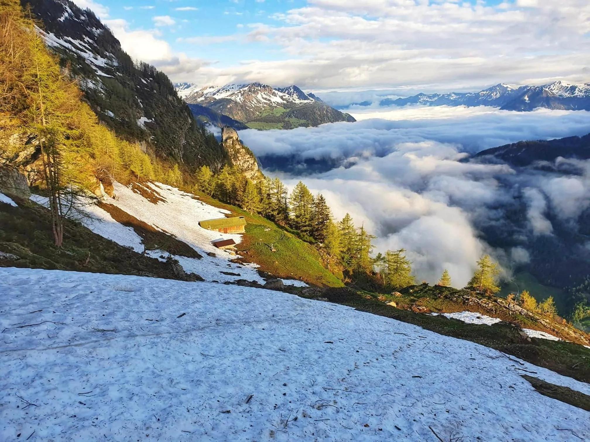 Triftblick