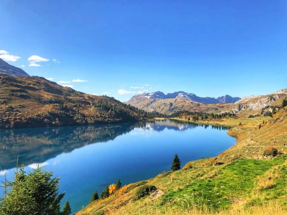 Triftblick