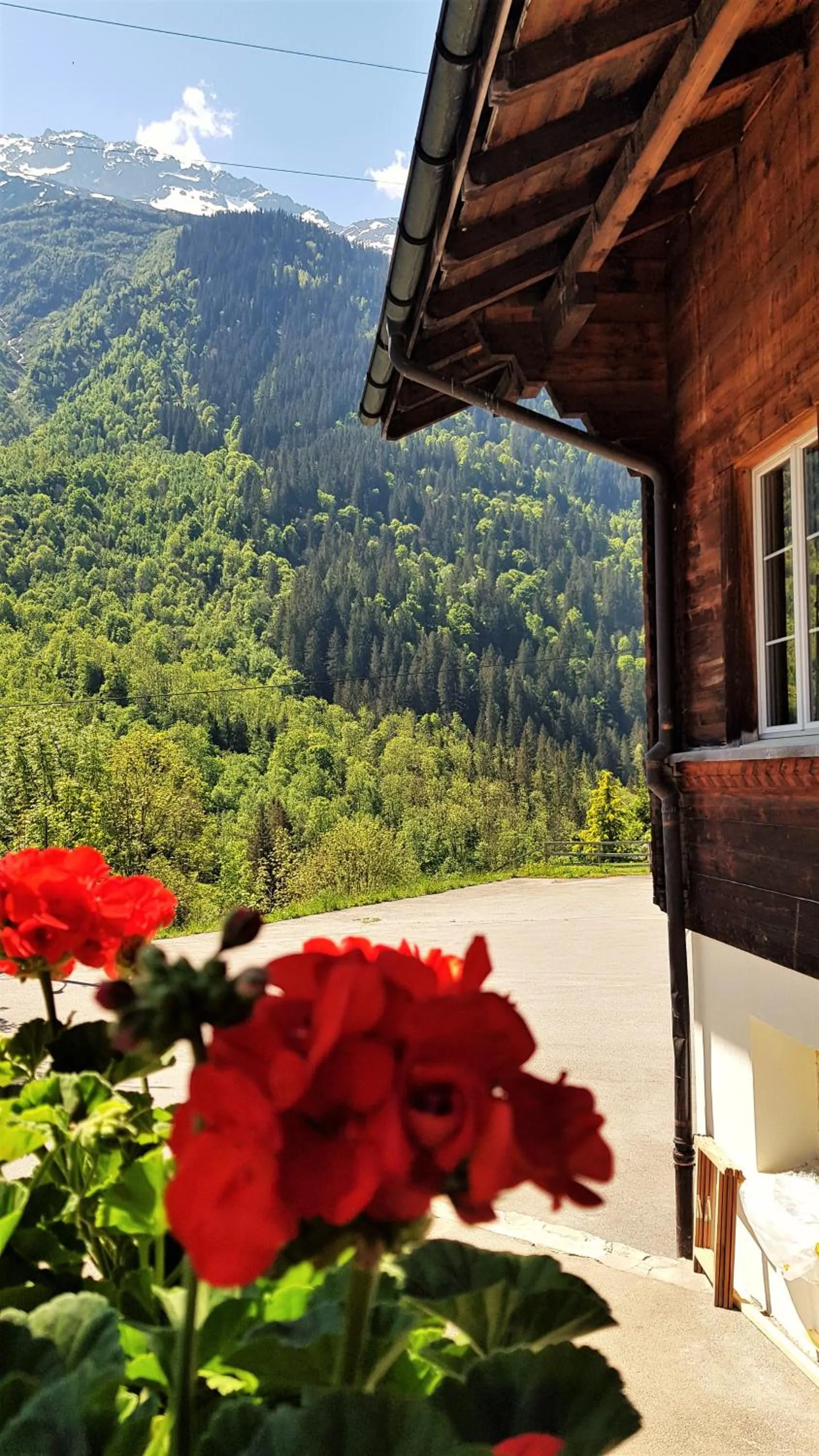 Restaurant/places to eat in Triftblick