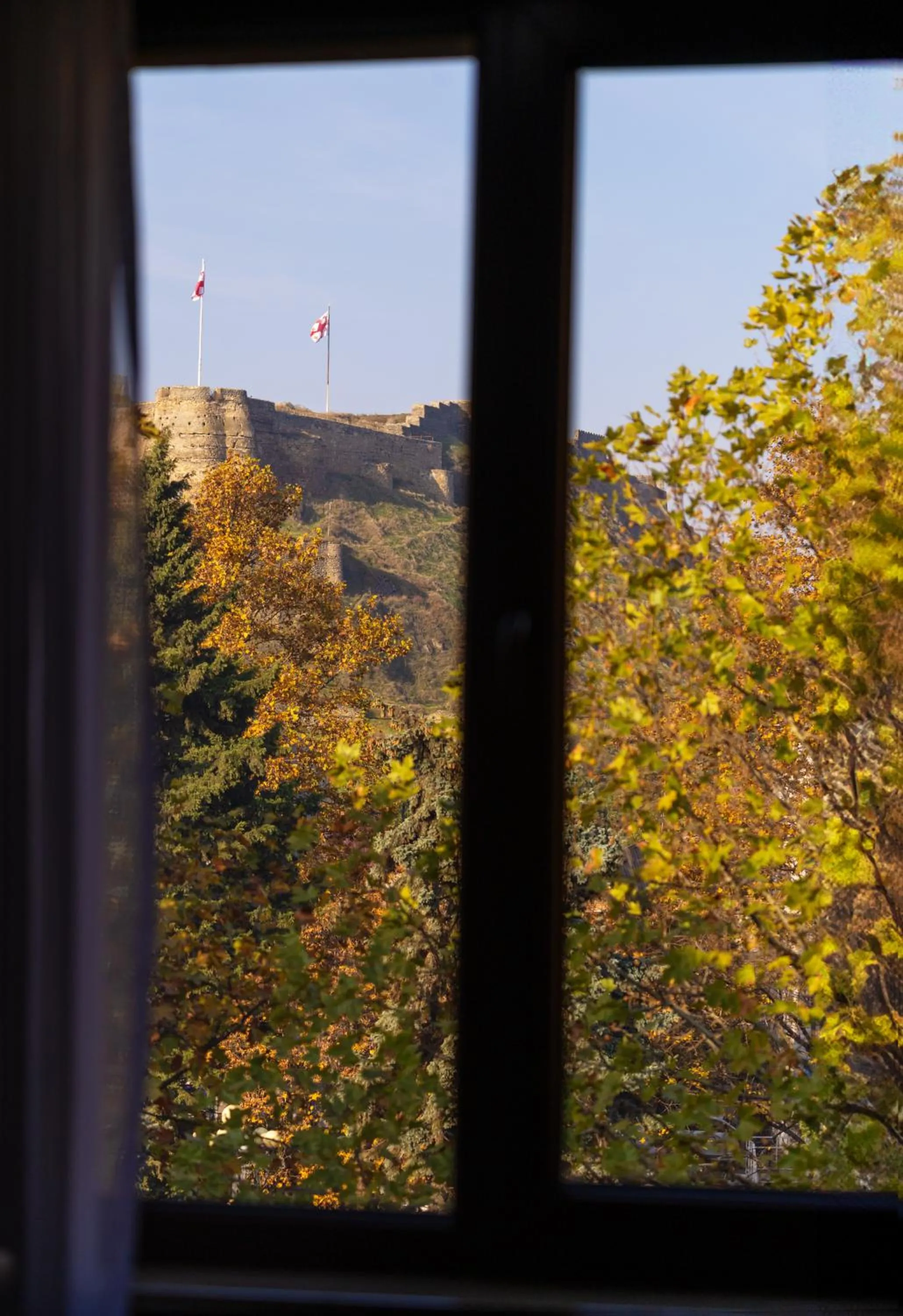 View (from property/room) in Georgia Gold