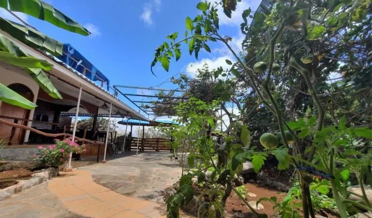 Garden in Galápagos Casa Playa Mann