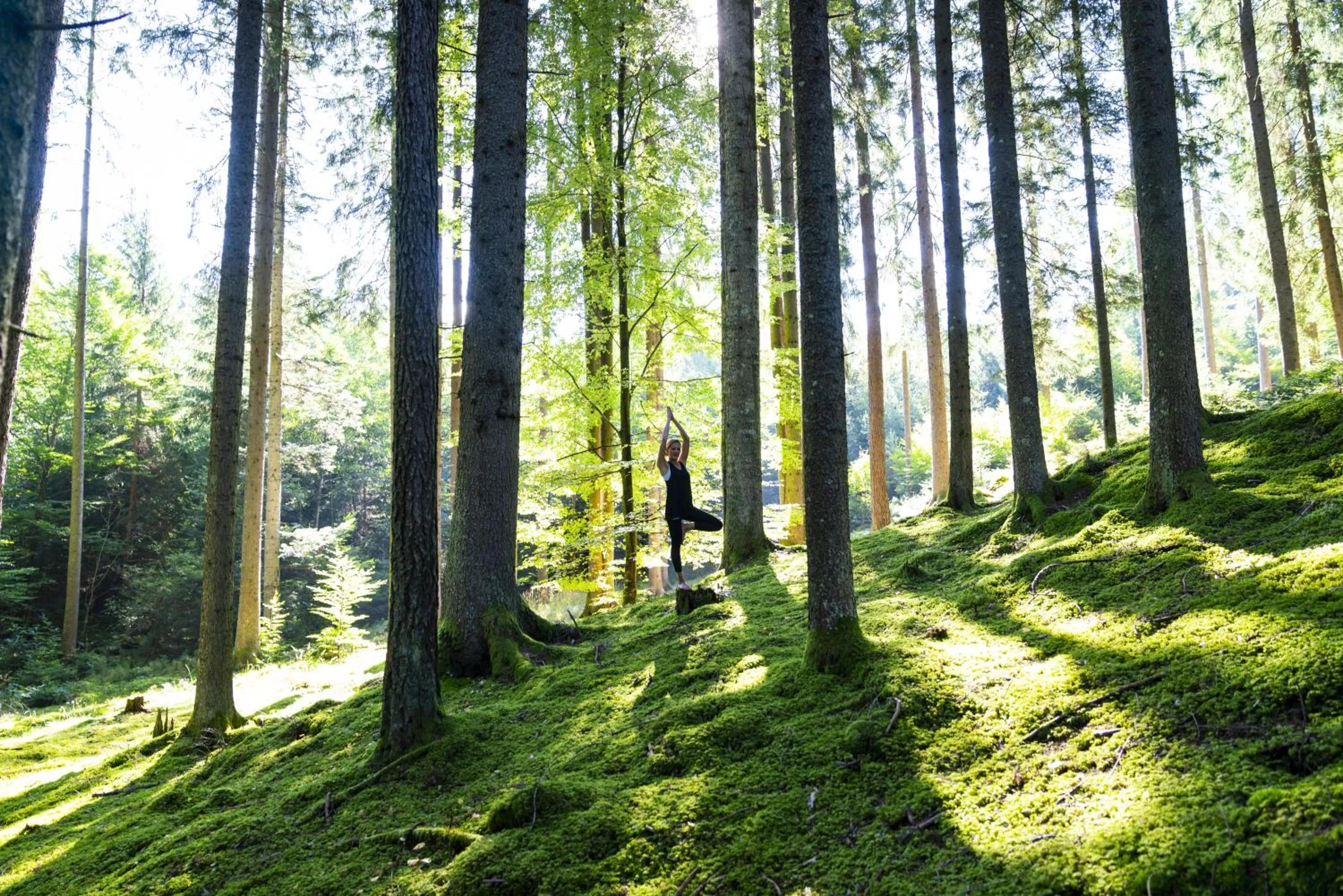 Activities in COOEE alpin Hotel Bad Kleinkirchheim