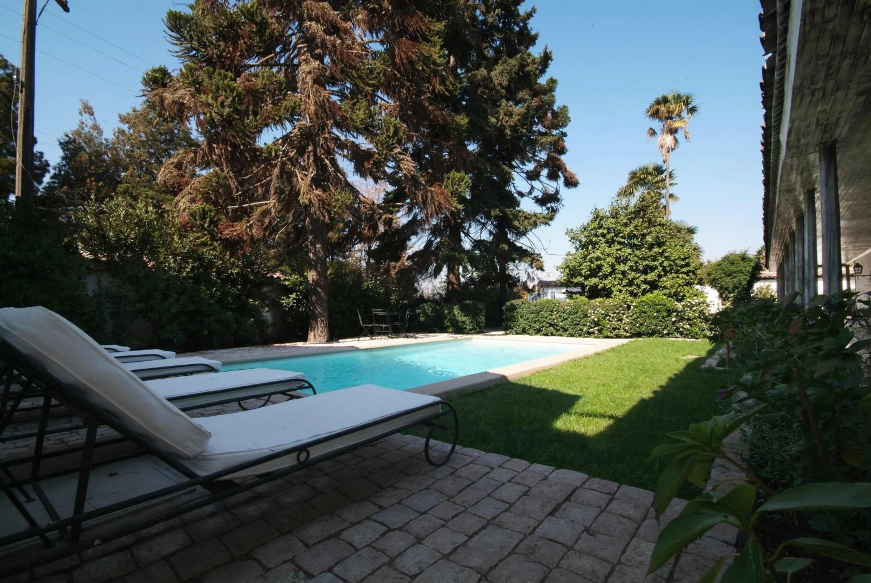 Garden in Hotel Casa Silva