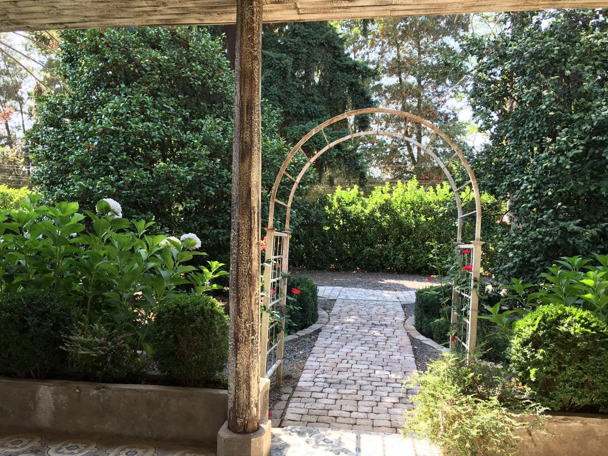 Garden in Hotel Casa Silva