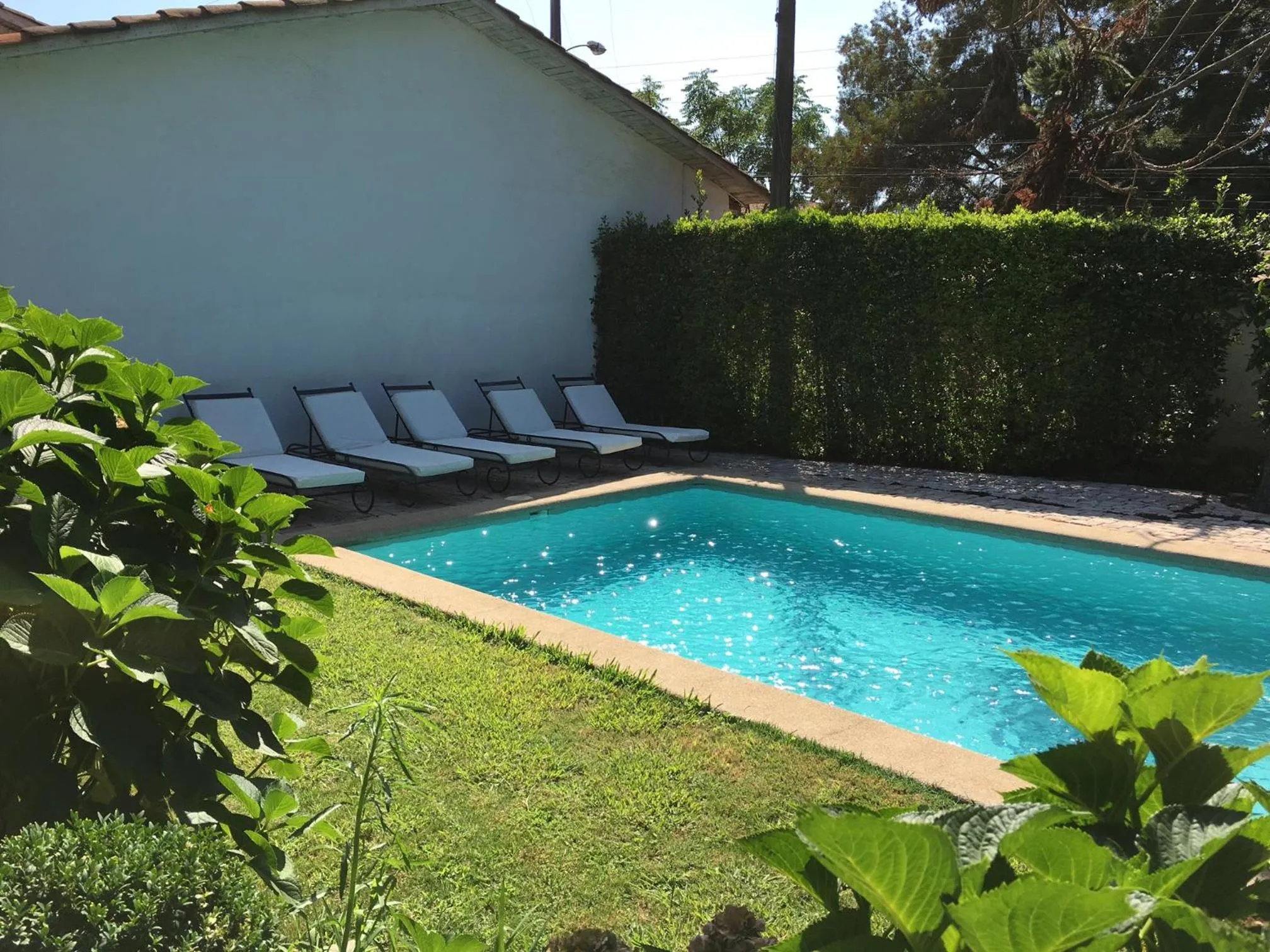 Garden in Hotel Casa Silva