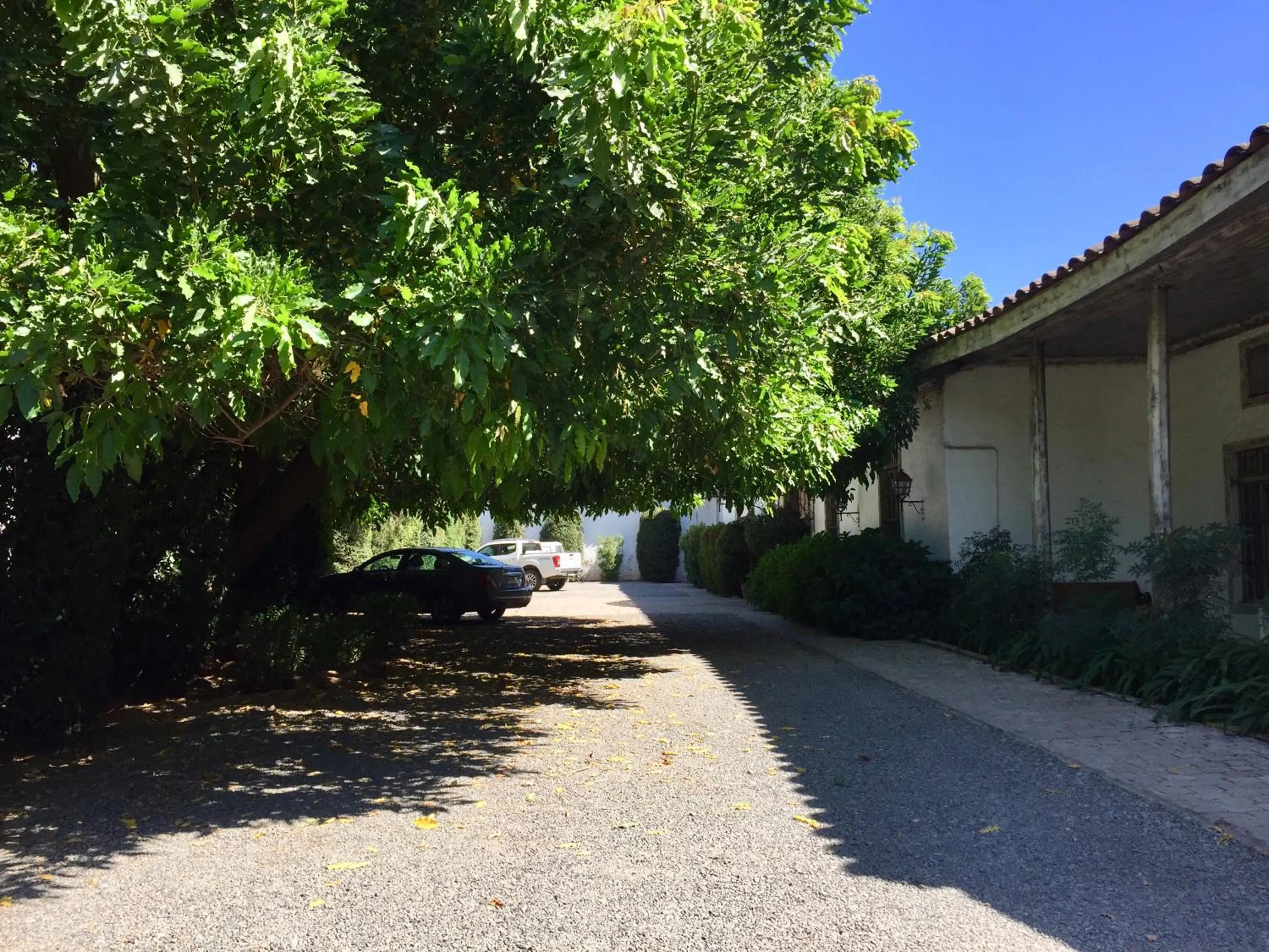 Floor plan in Hotel Casa Silva