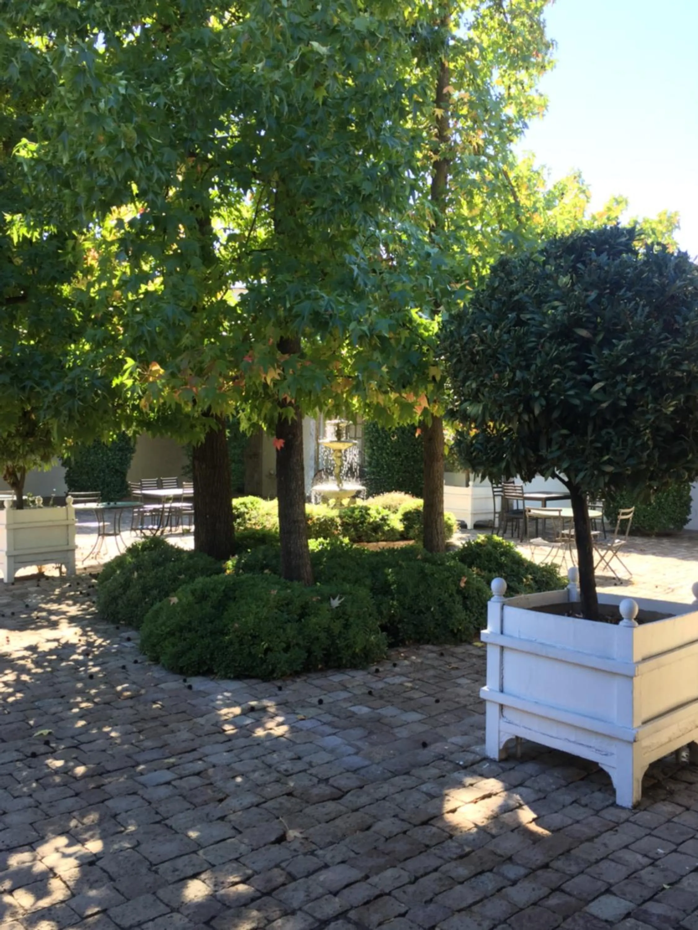 Garden in Hotel Casa Silva