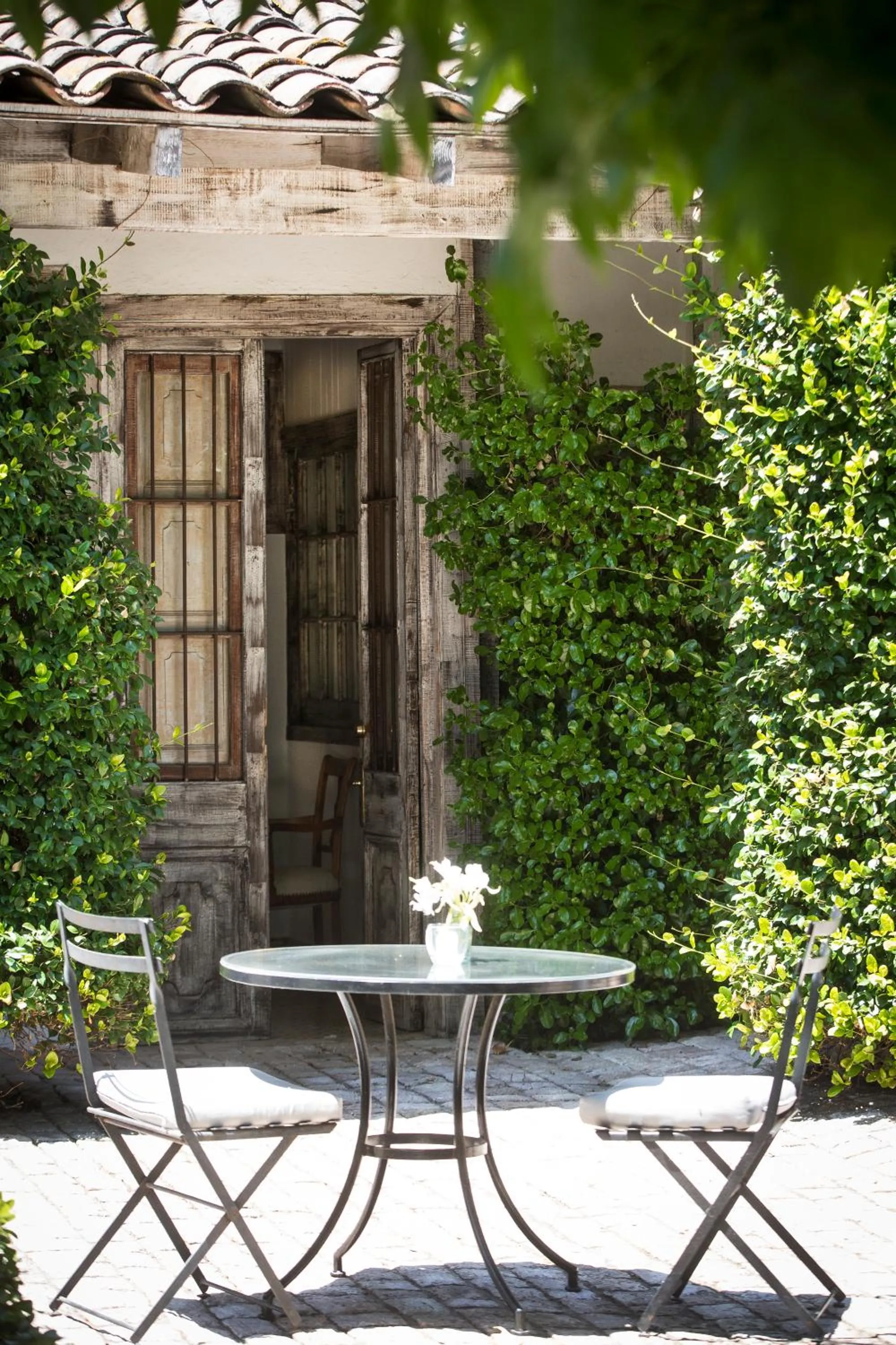 Garden in Hotel Casa Silva