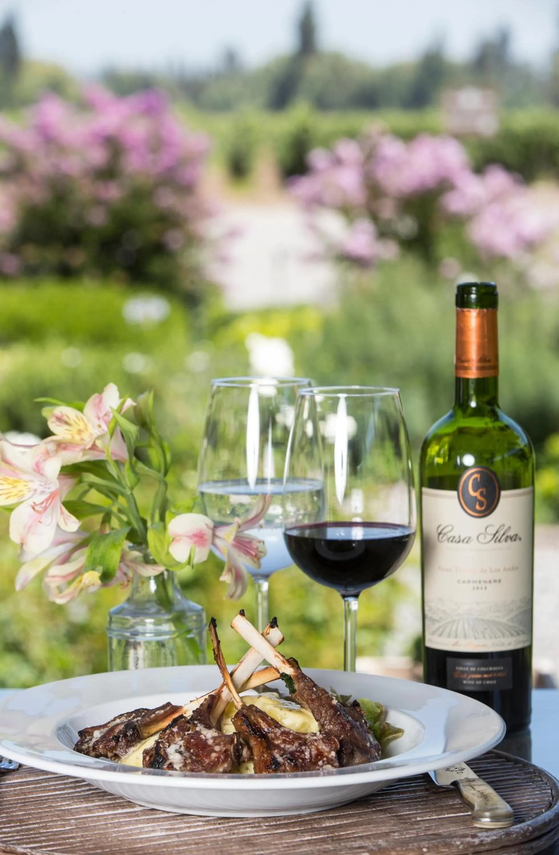 Restaurant/places to eat in Hotel Casa Silva