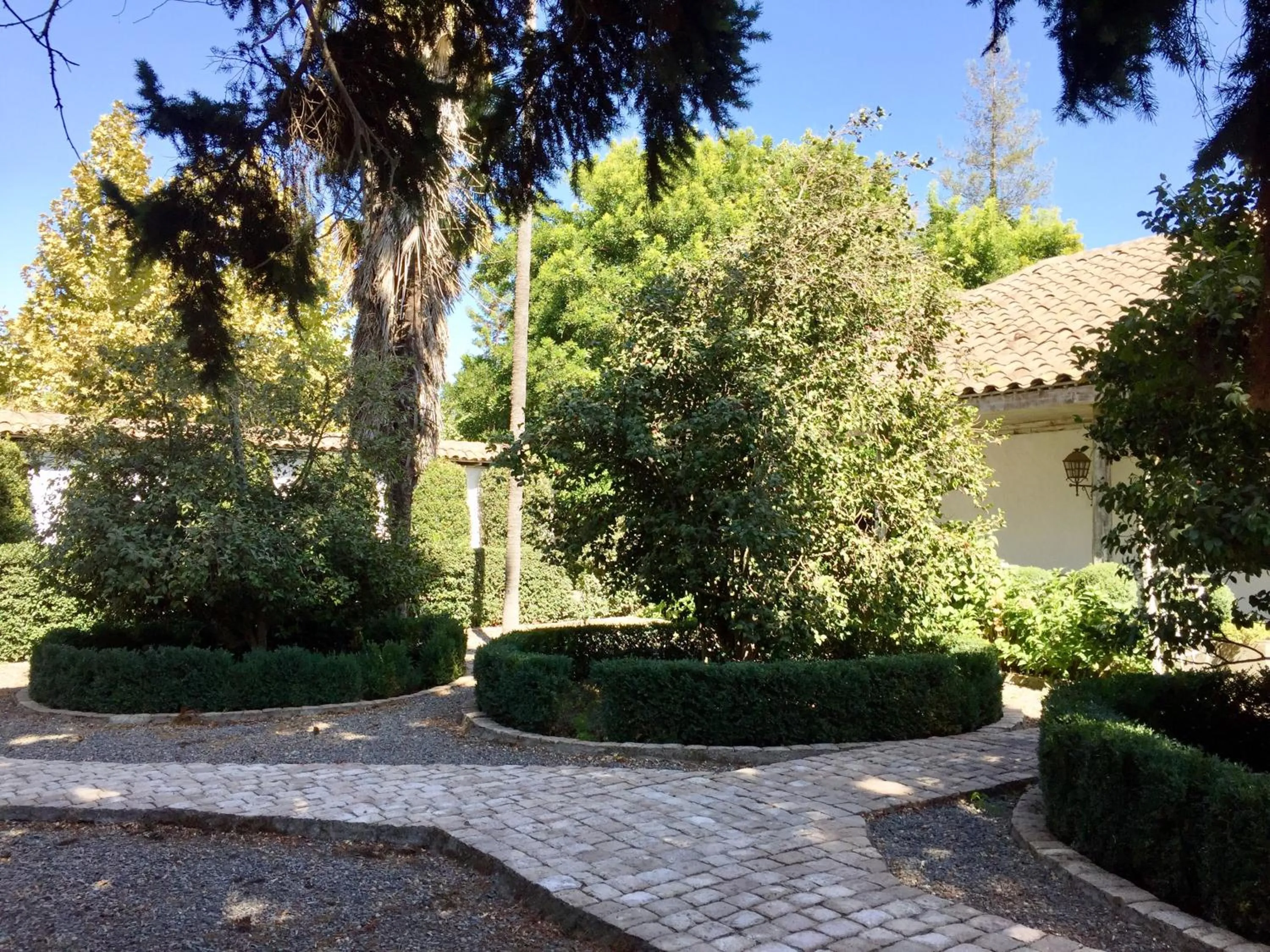 Garden in Hotel Casa Silva