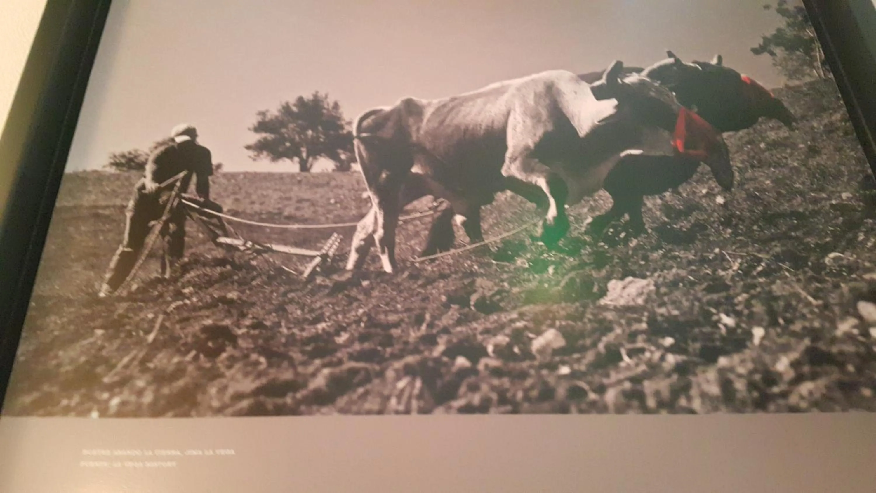 Property logo or sign in Hotel Rey