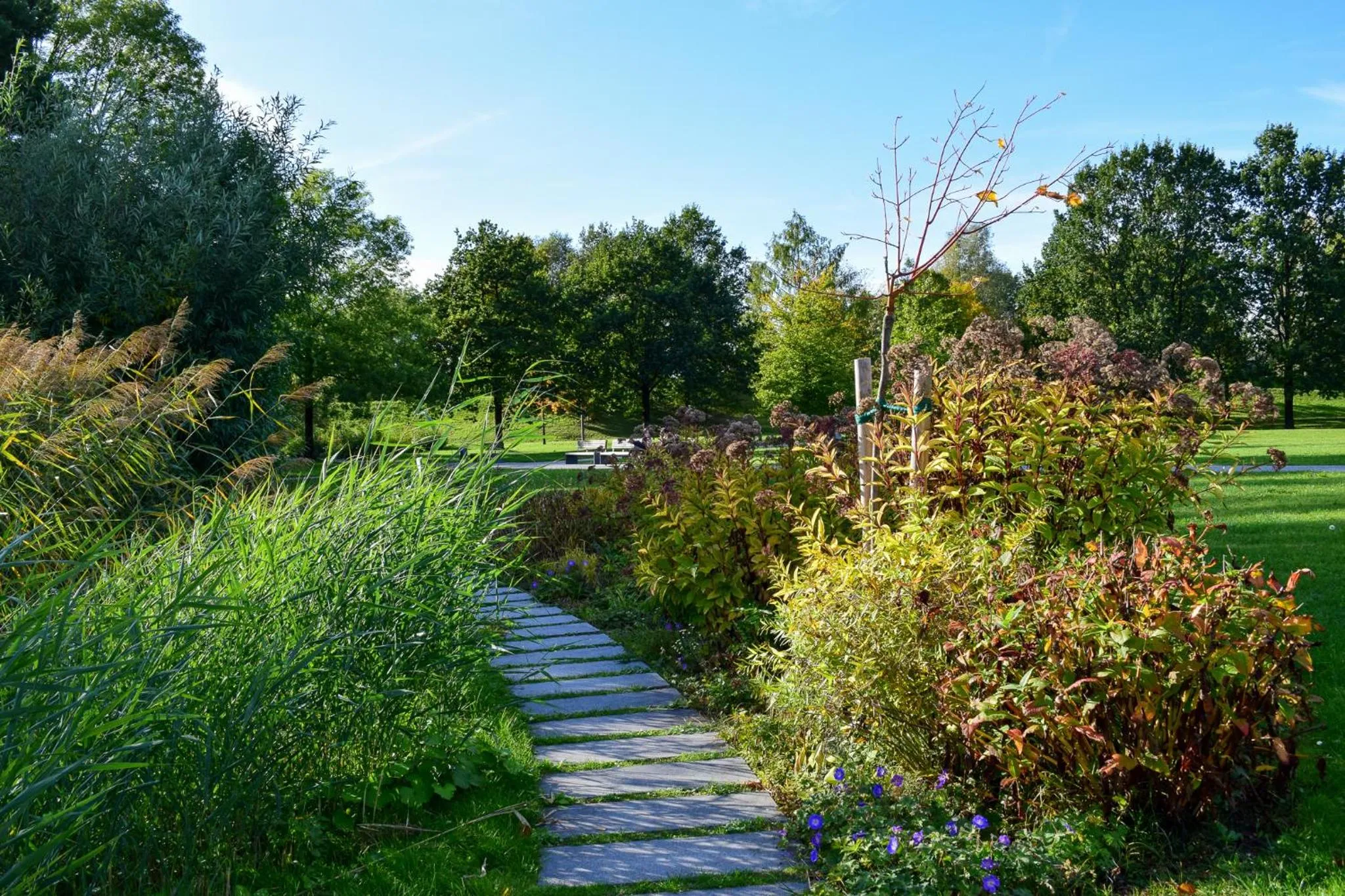 Nearby landmark in SCOTTY & PAUL Hotel Deggendorf