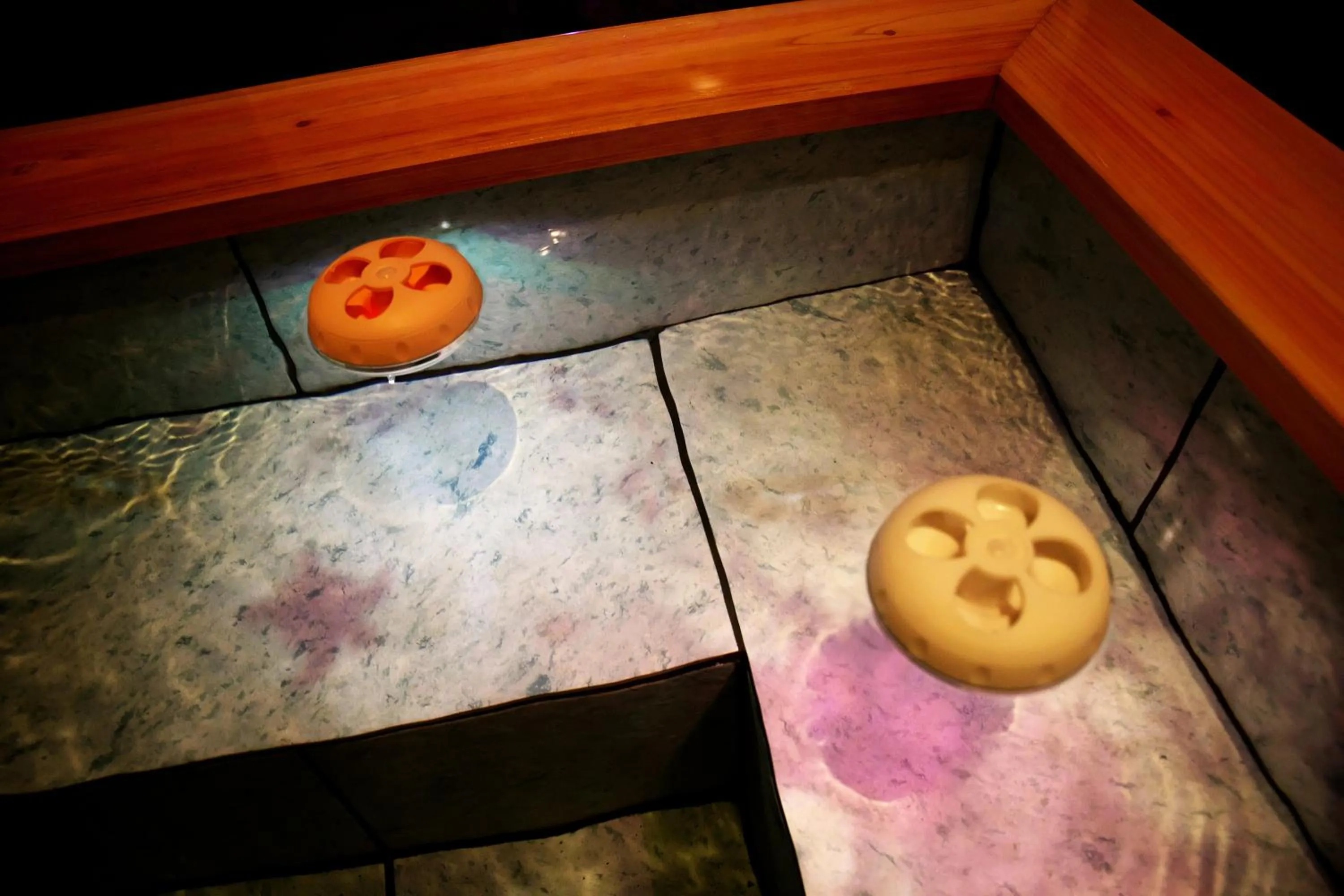 Hot Spring Bath in Hanasuishou