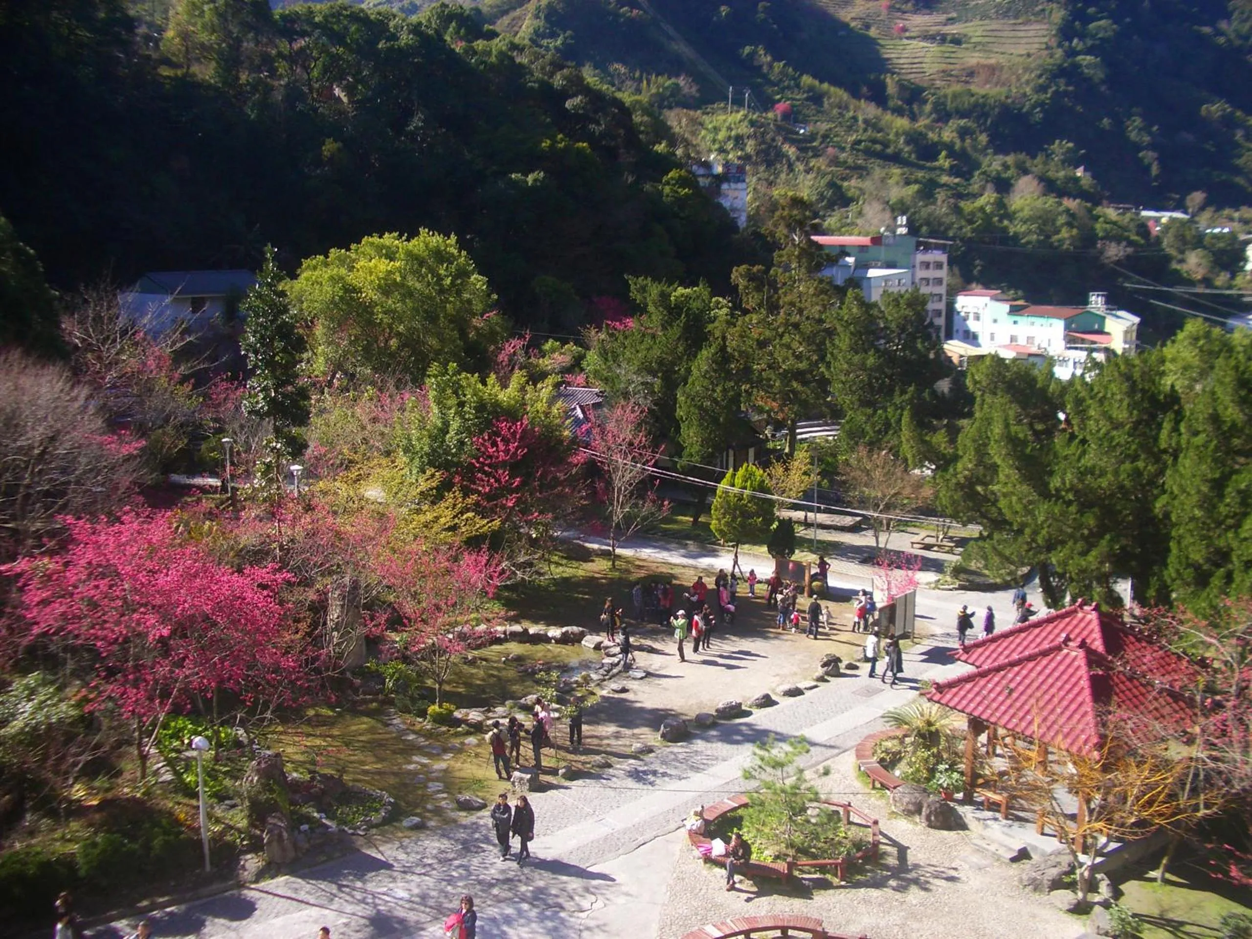 View (from property/room) in Honey Moon Hotel