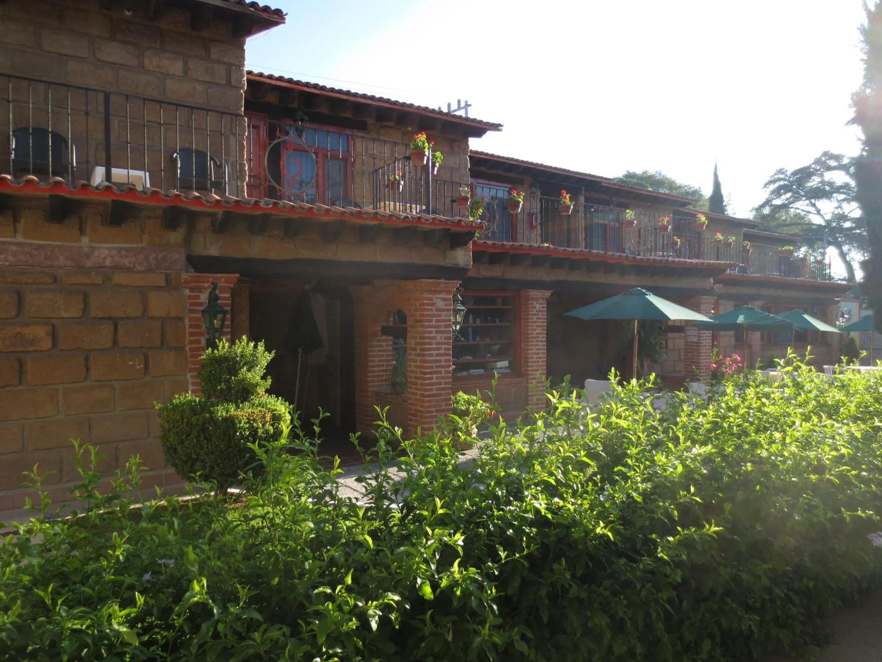 Garden in Hotel Sol y Fiesta