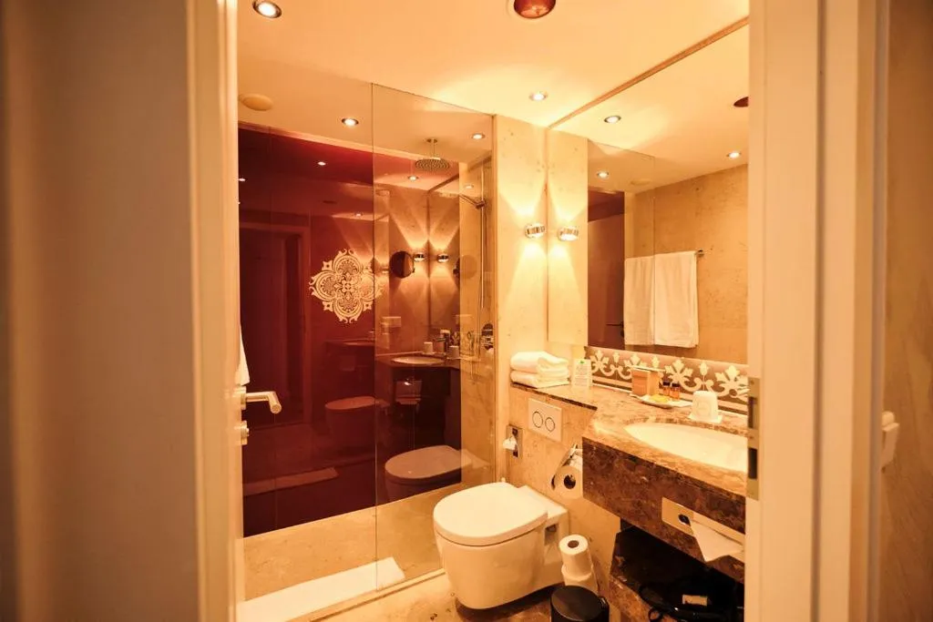 Shower in Hotel Halm Konstanz