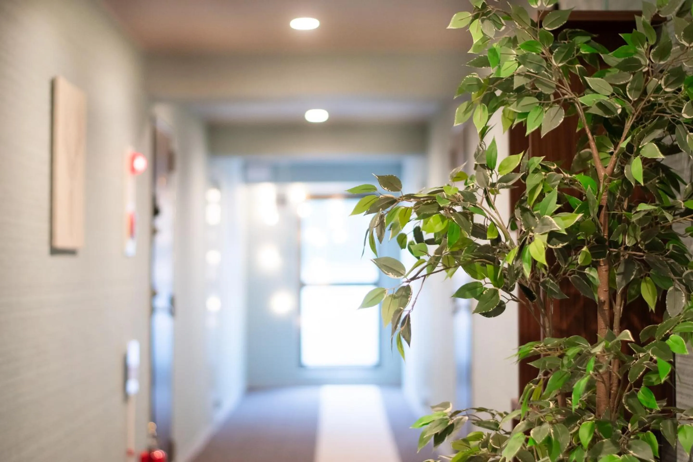 Other in Hotel Neiraku