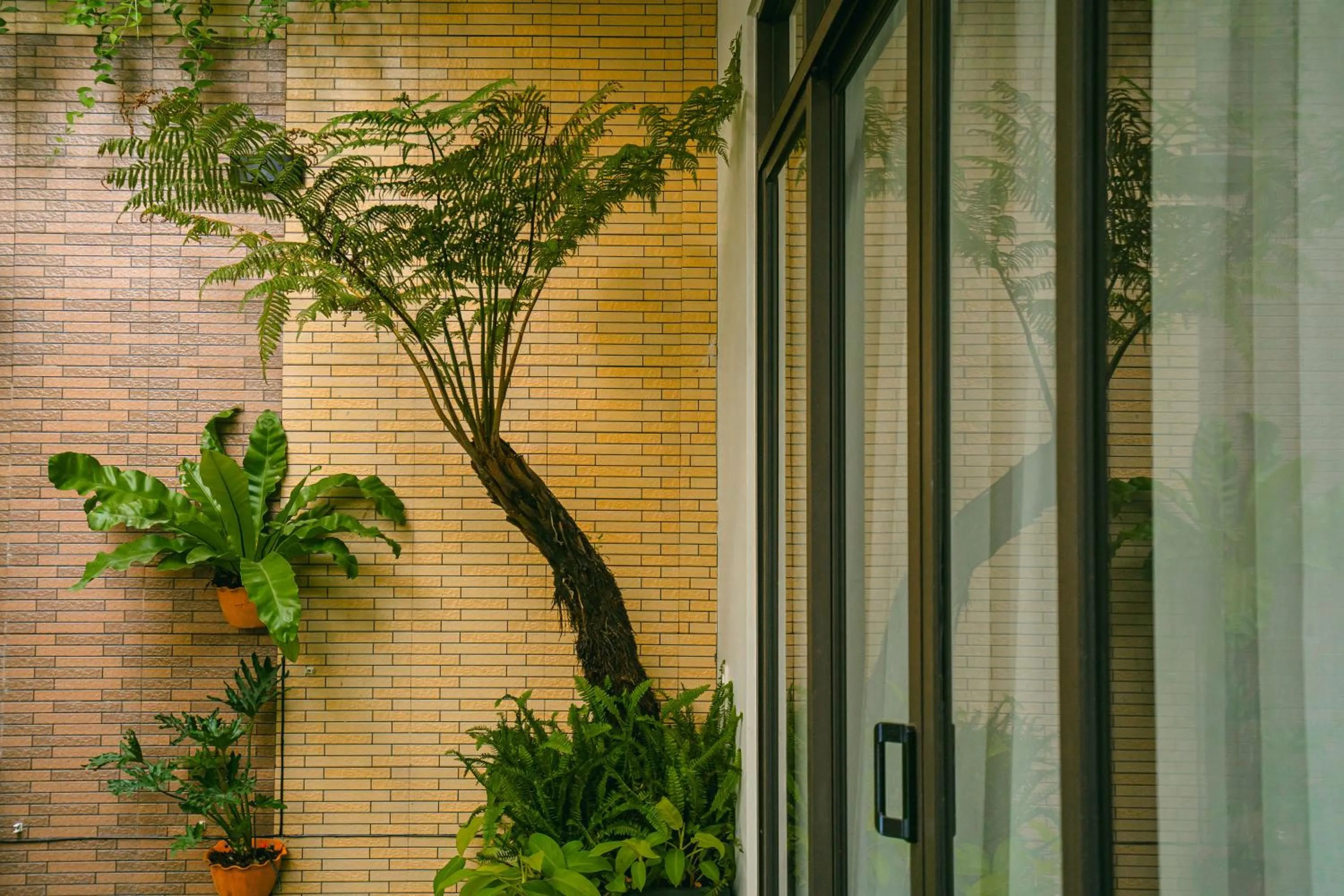 On site in Beach Palm Villa Hoi An