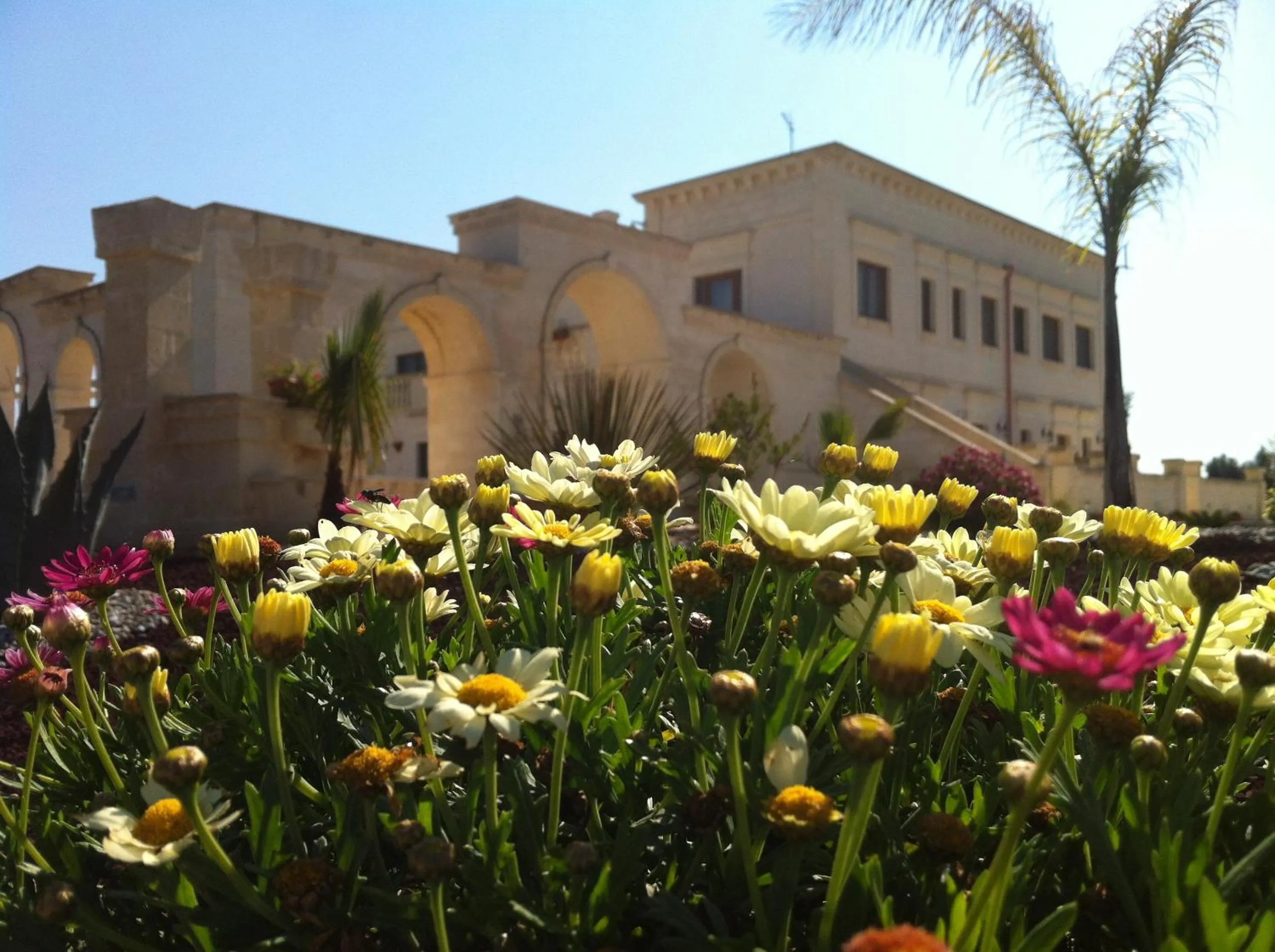 Garden in Agriturismo I Pozzetti