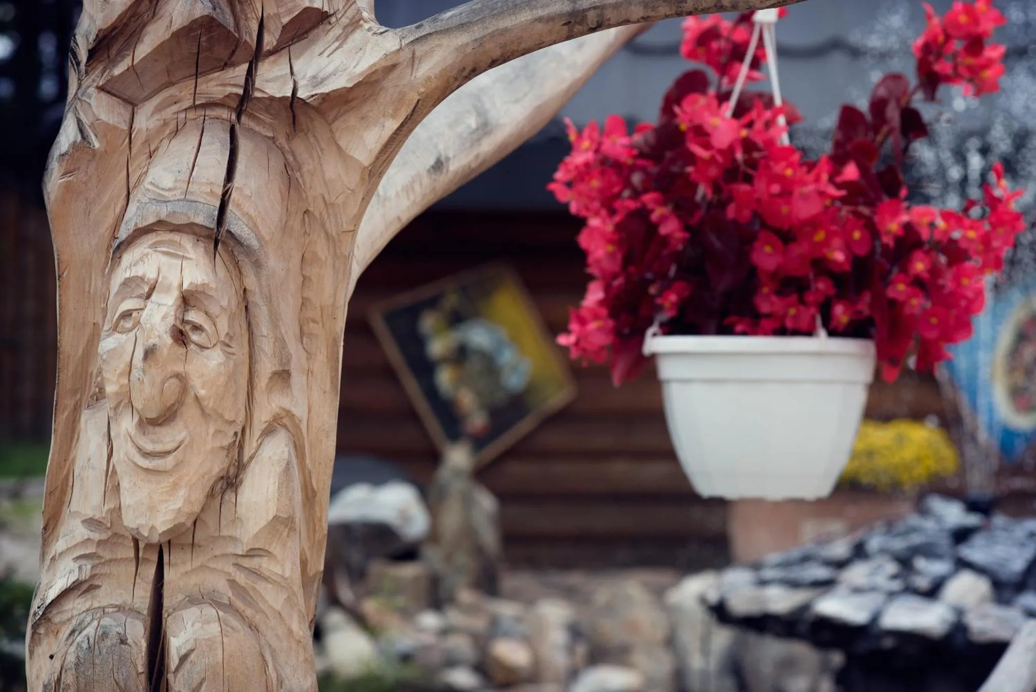 Windsurfing in Pensjonat "Jodłowy Dwór"