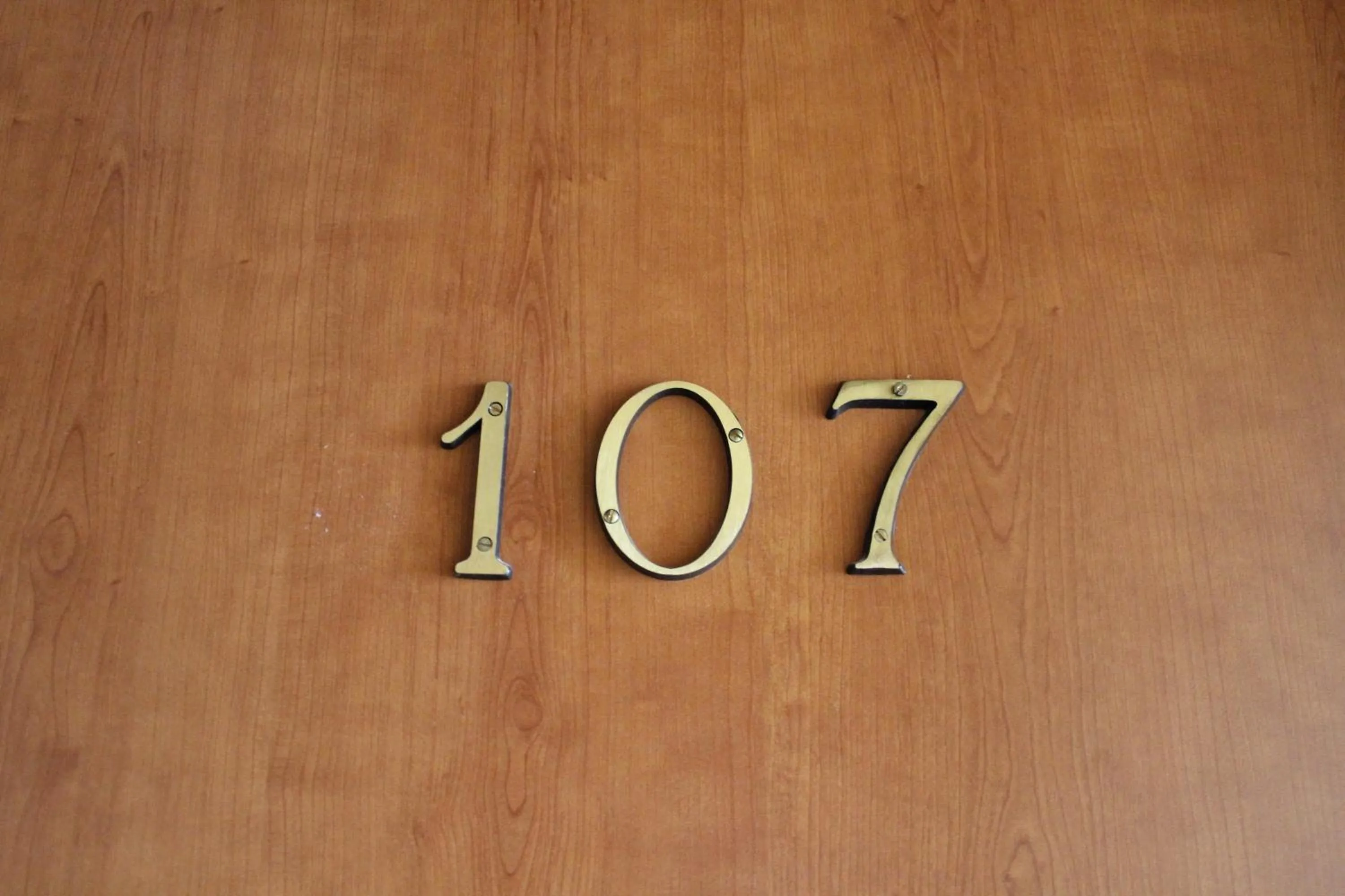 Photo of the whole room in Hotel 106