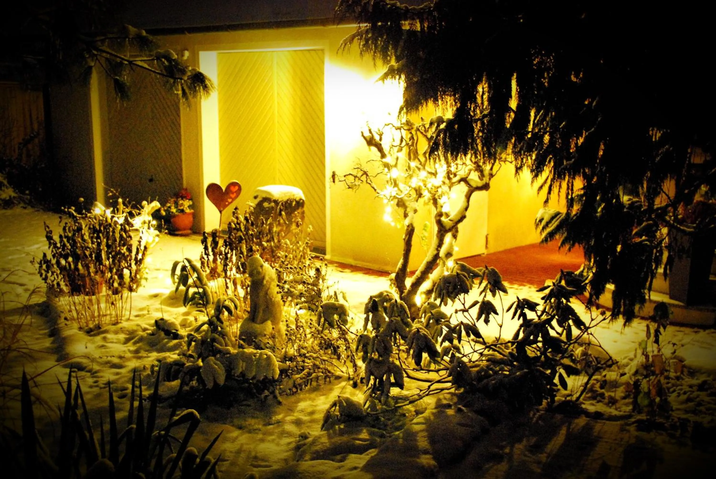 Winter in ambiente solutions apartments
