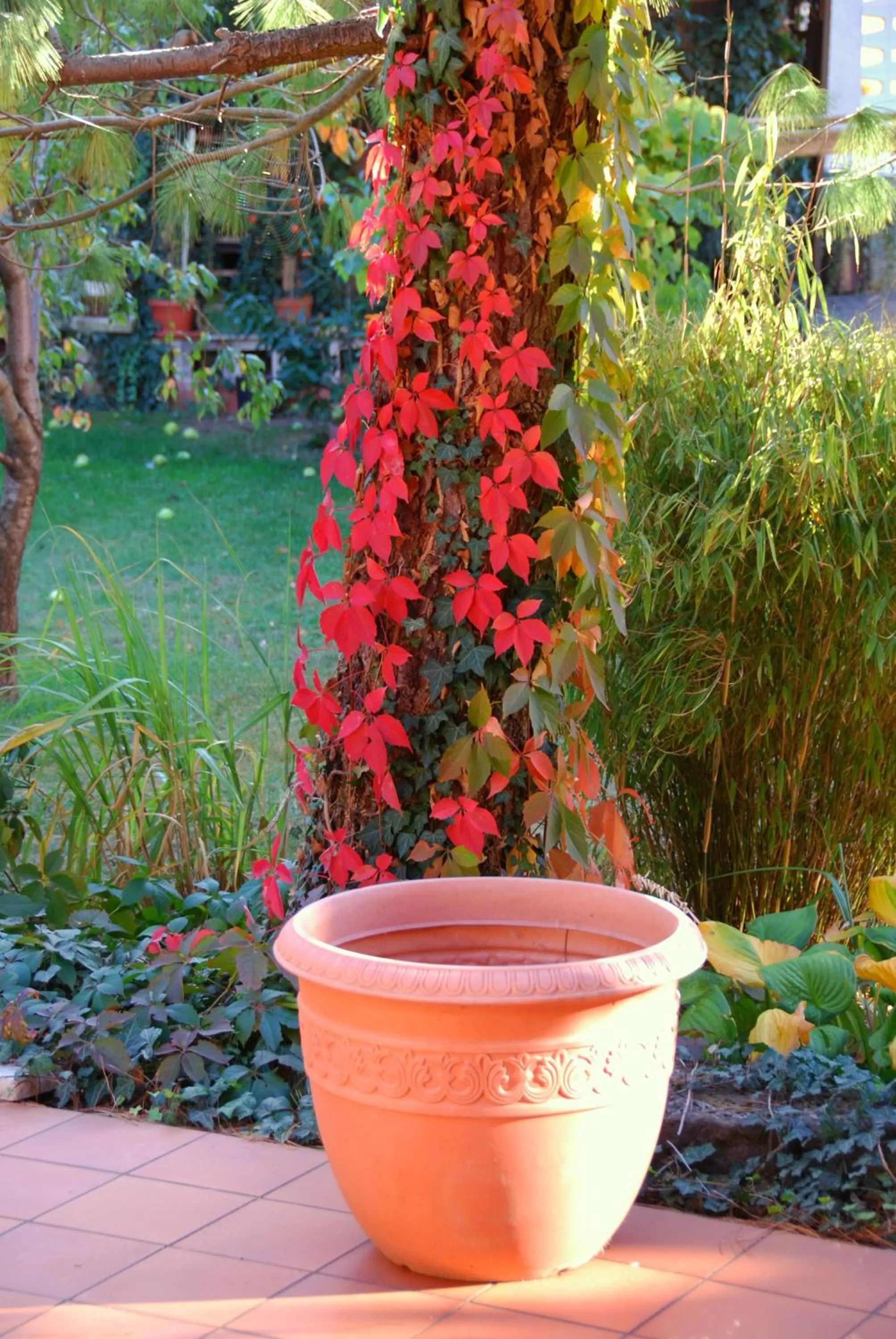 Garden in ambiente solutions apartments