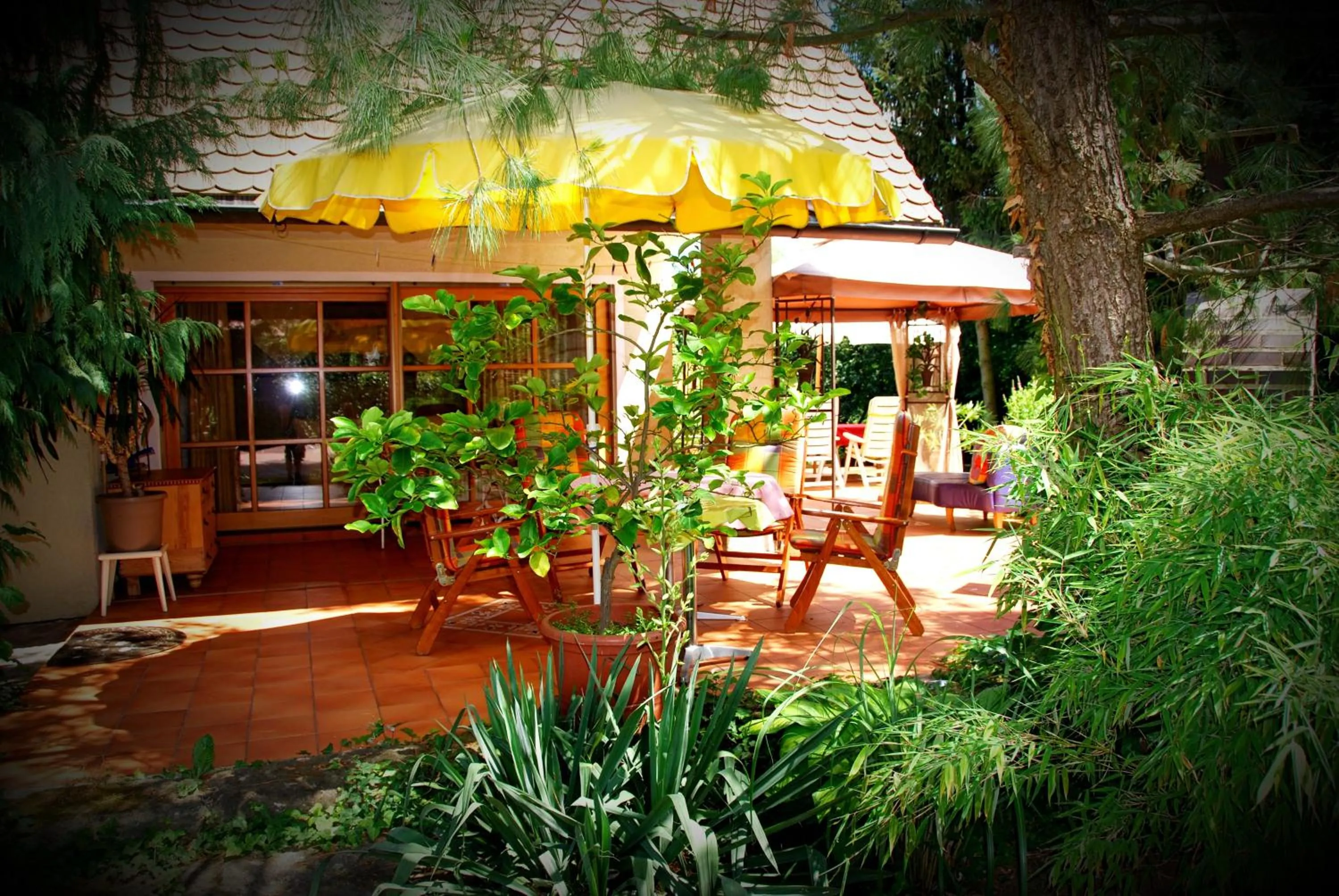 Garden in ambiente solutions apartments