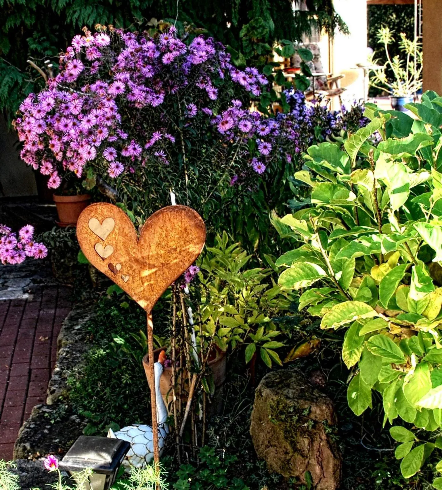 Garden in ambiente solutions apartments